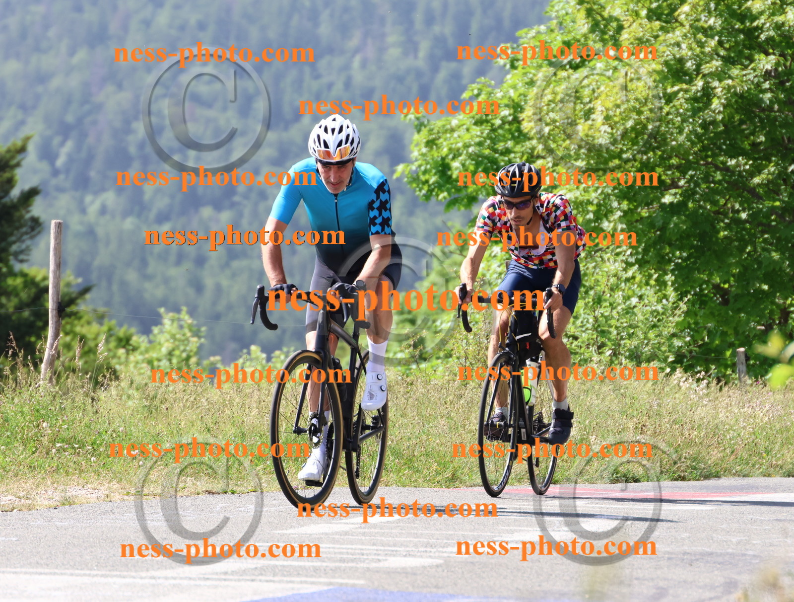 Col du grand Colombier (853).JPG