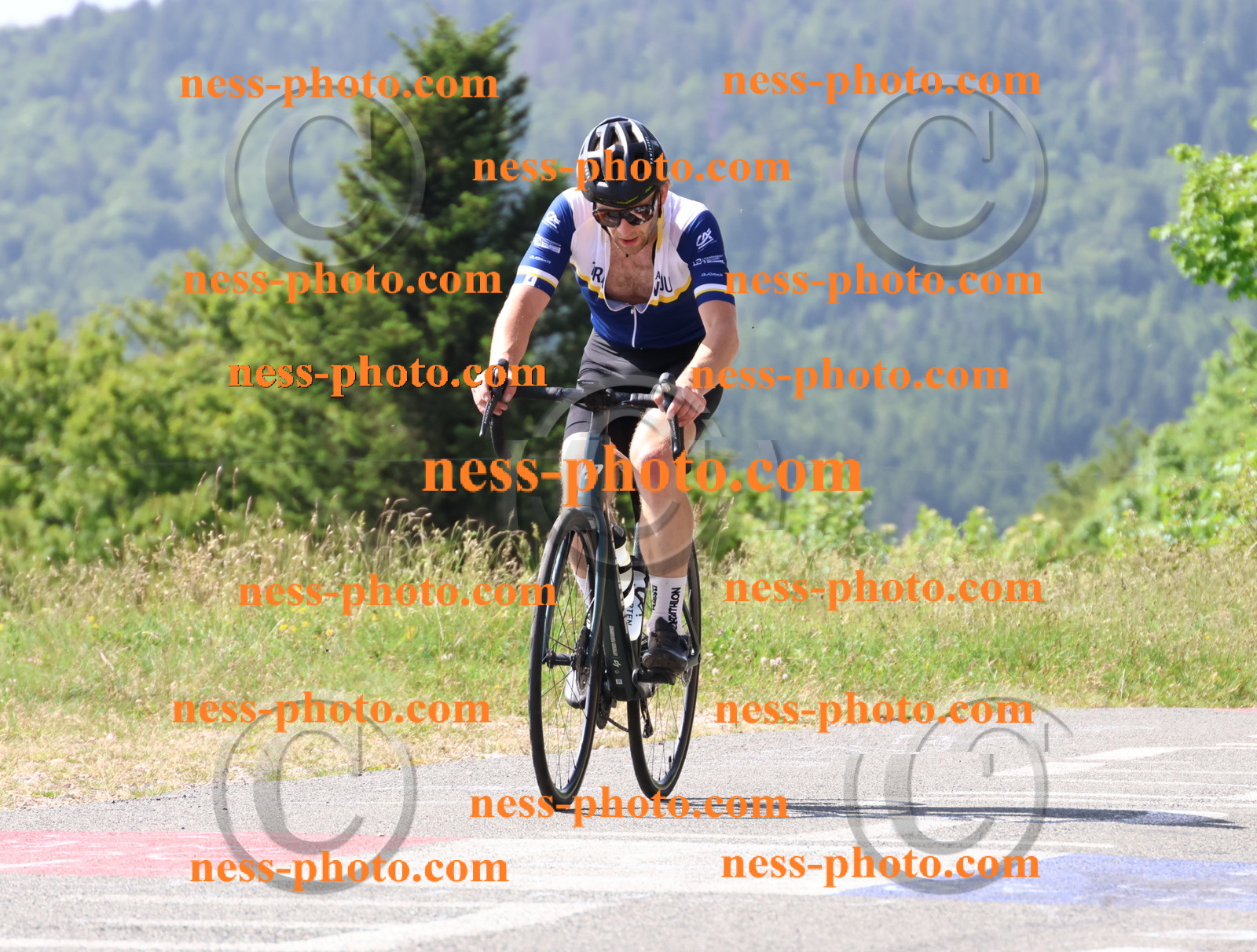 Col du grand Colombier (797).JPG