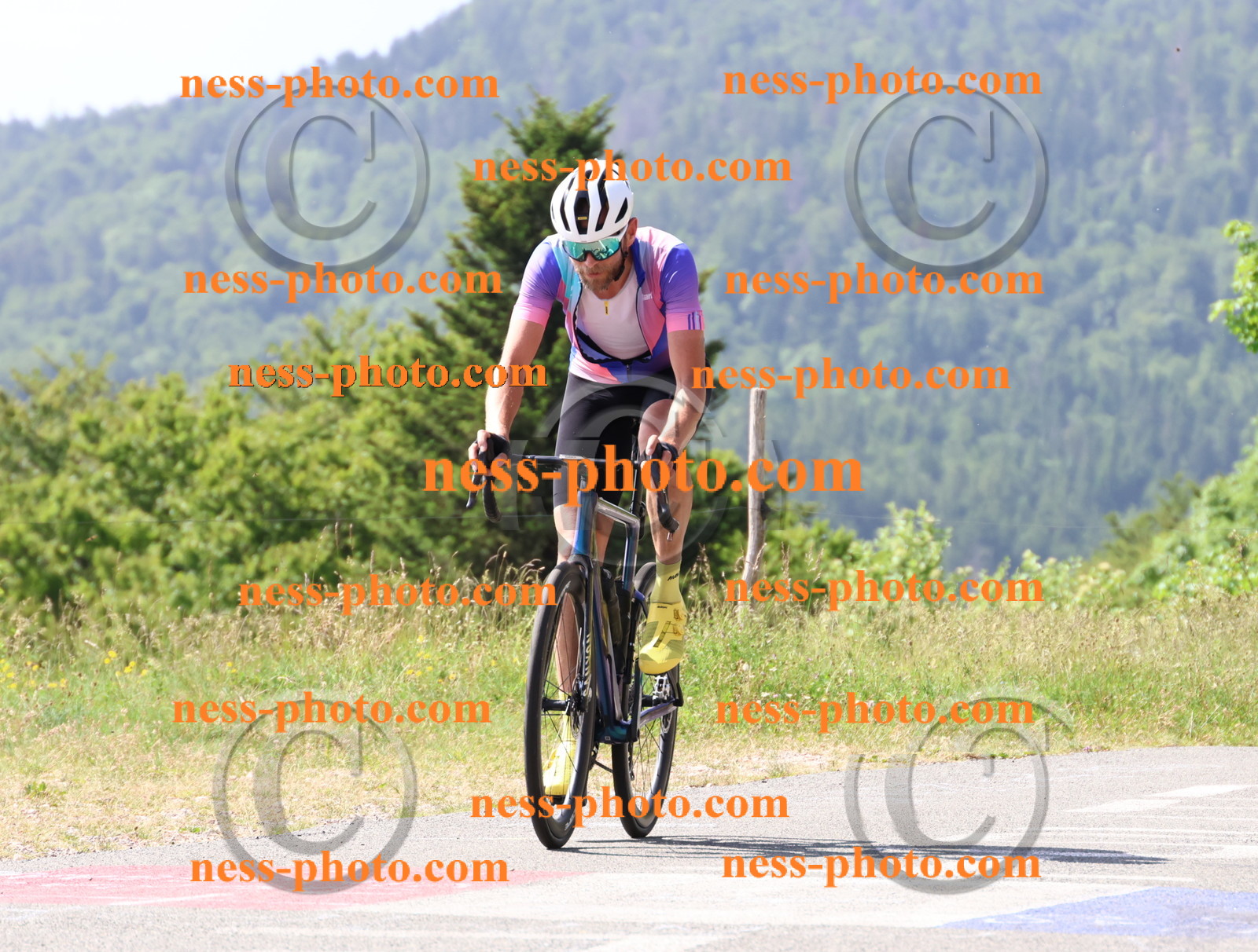 Col du grand Colombier (996).JPG