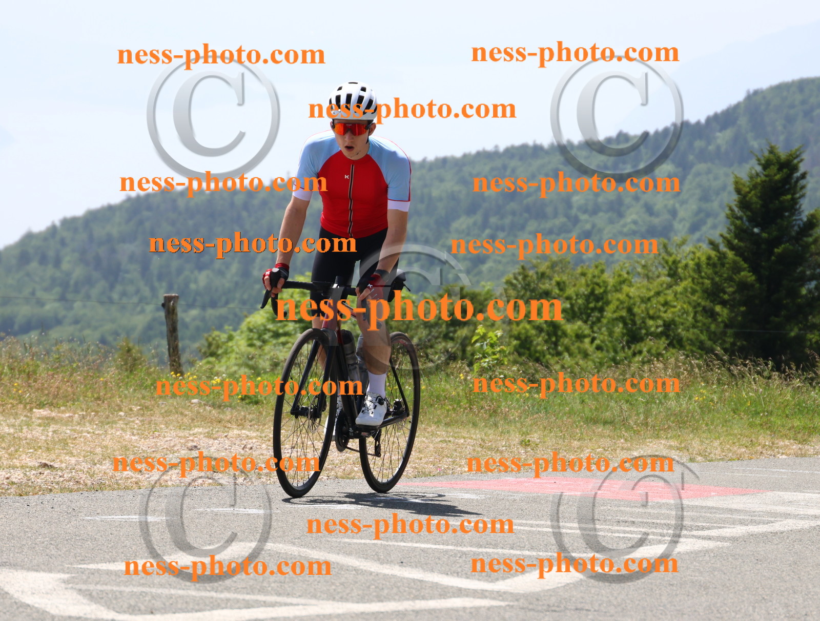Col du grand Colombier (2494).JPG