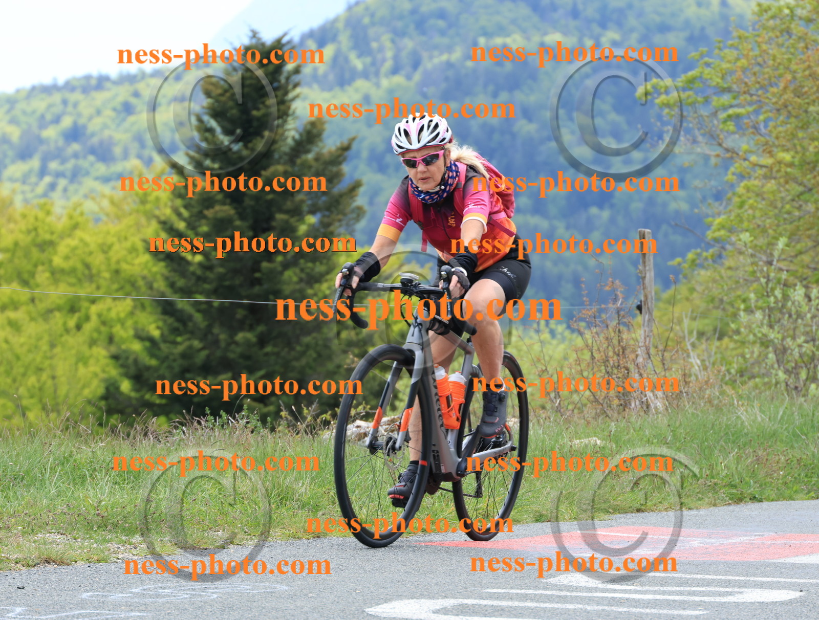 Col du Grand Colombier (411).JPG