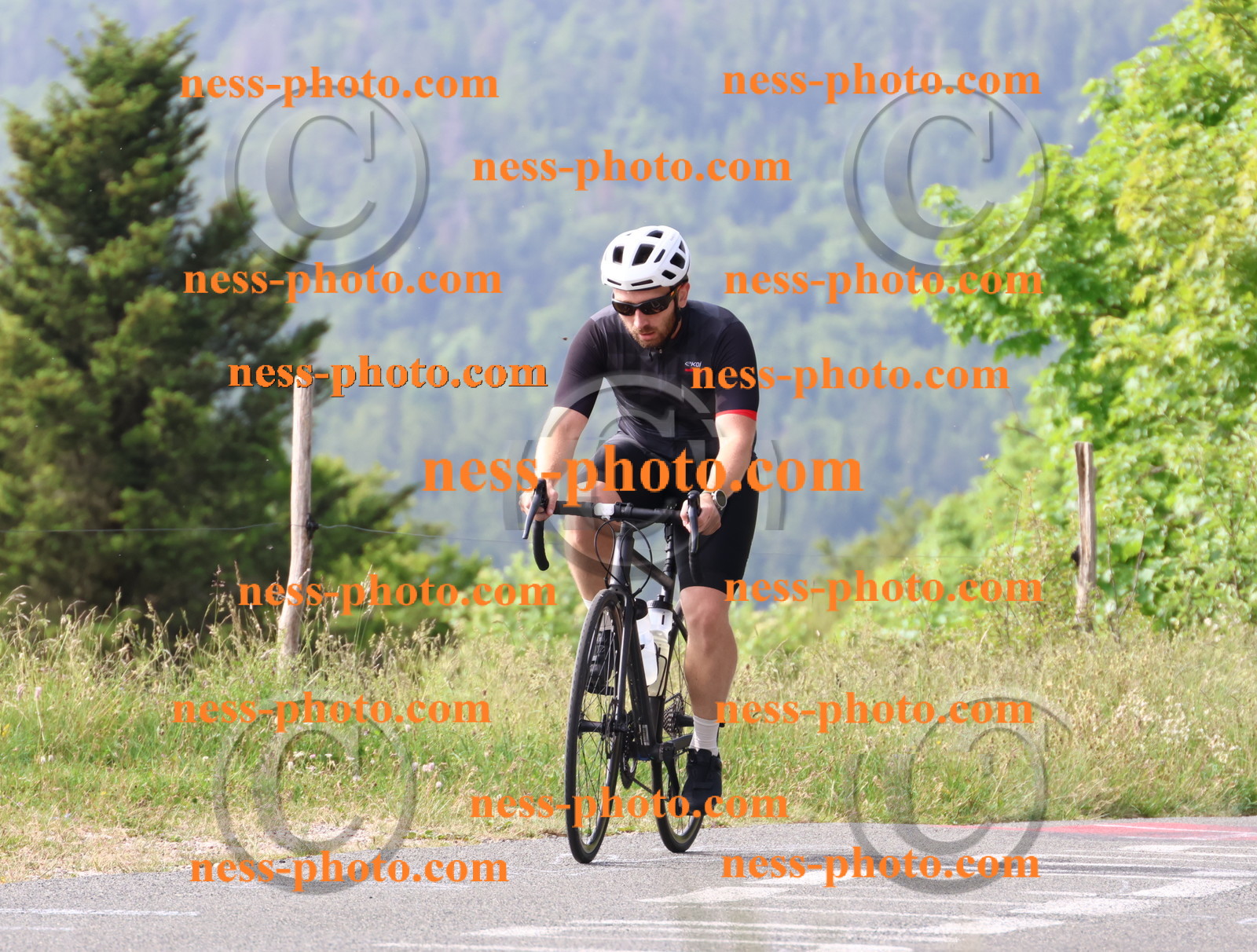 Col du grand Colombier (69).JPG