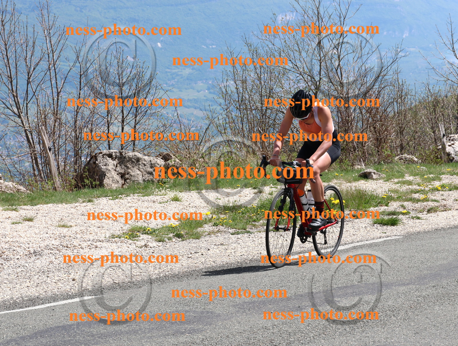 Col du Grand Colombier (837).JPG