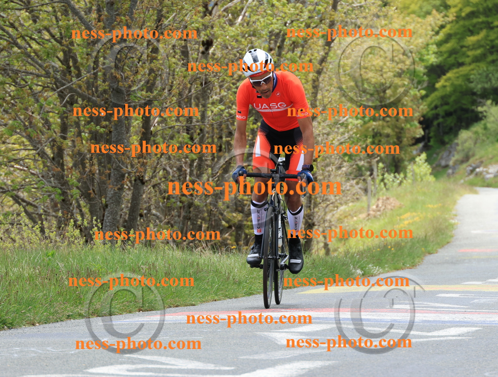 Col du Grand Colombier (496).JPG