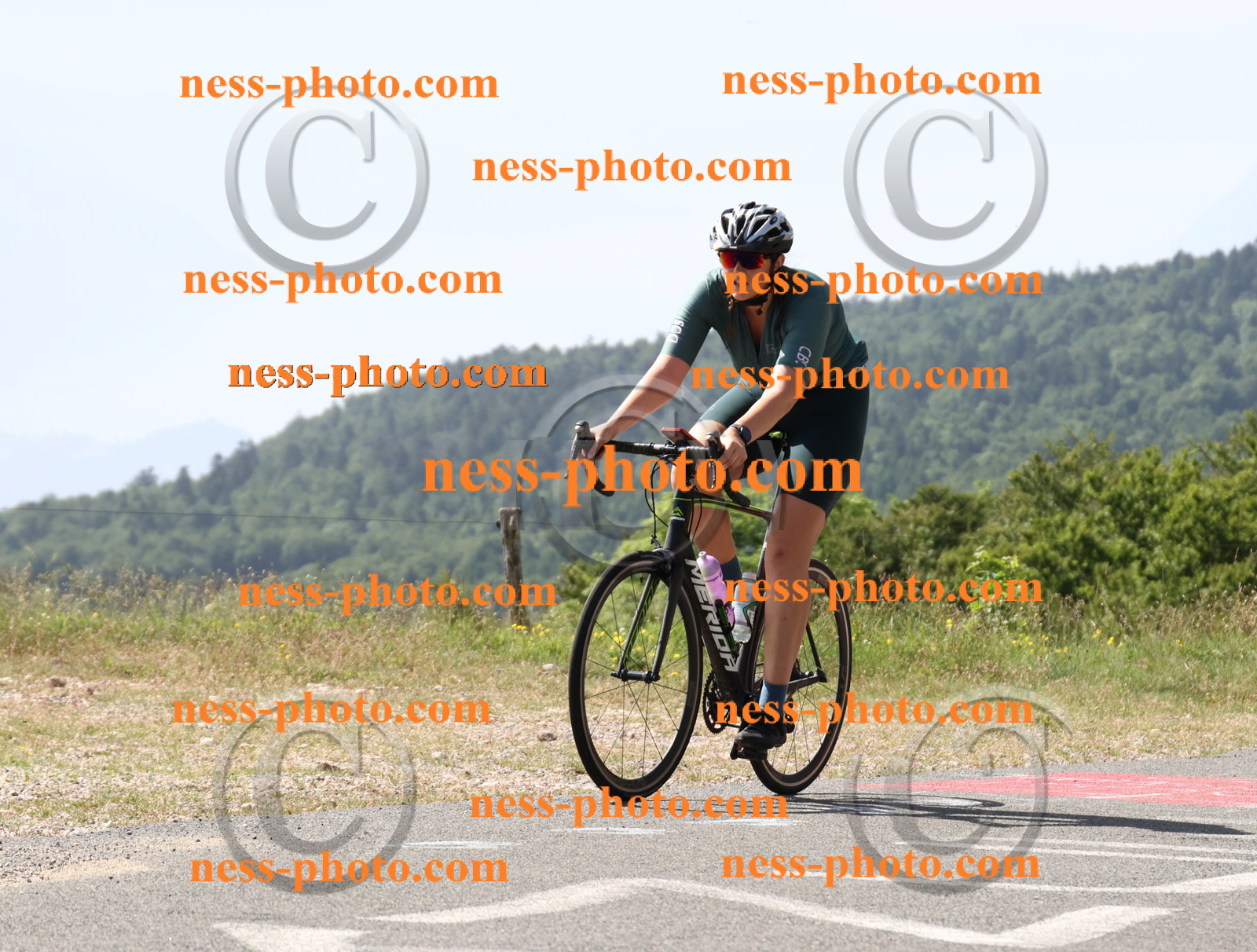 Col du grand Colombier (832).JPG