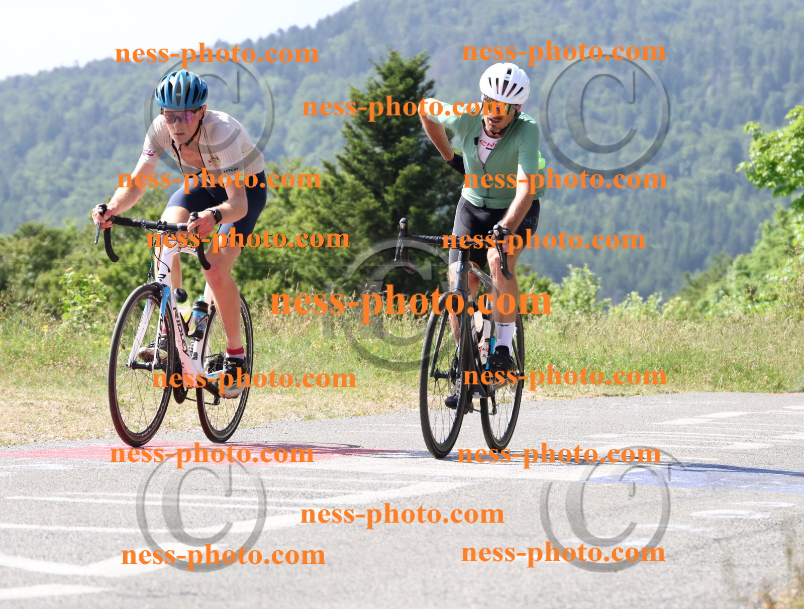 Col du grand Colombier (806).JPG