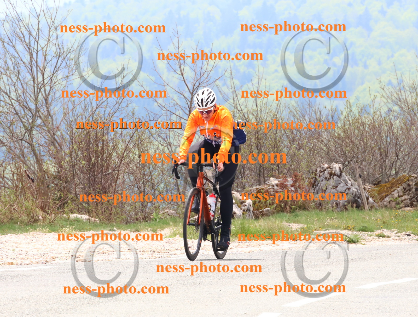 Col du Grand Colombier (157).JPG