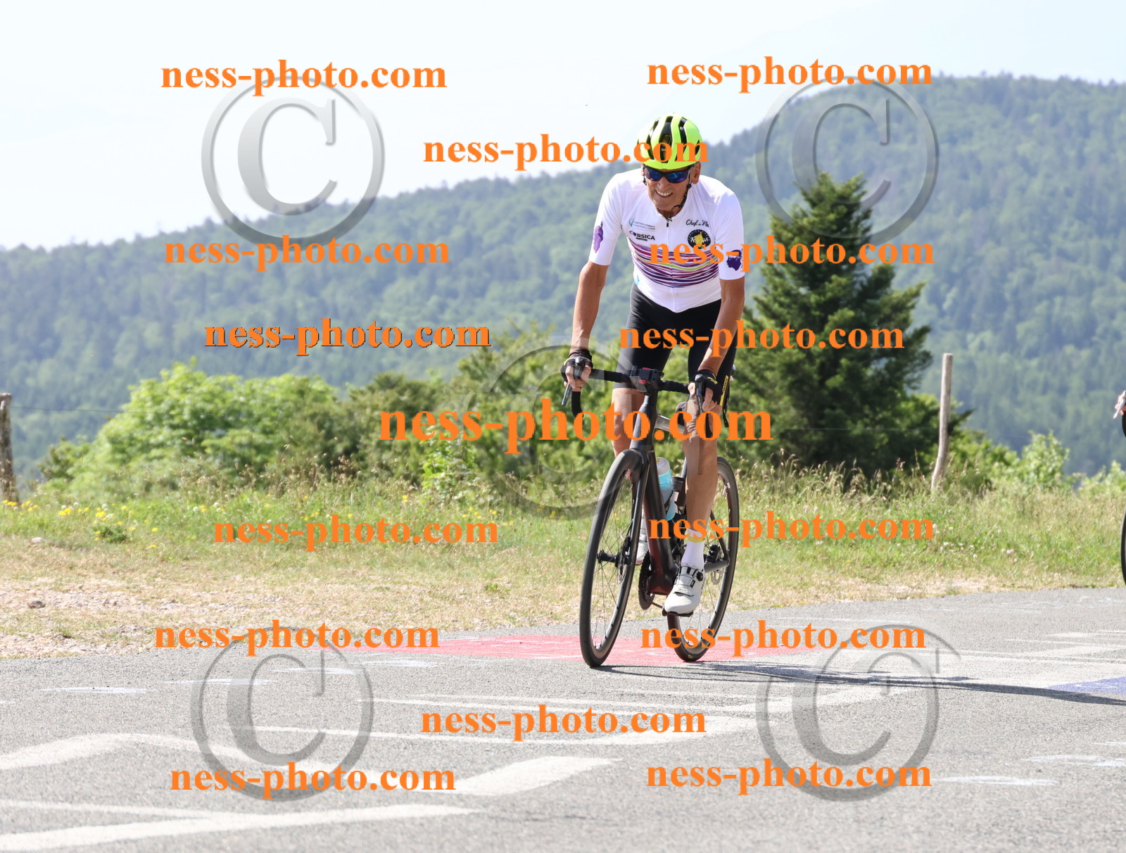 Col du grand Colombier (814).JPG