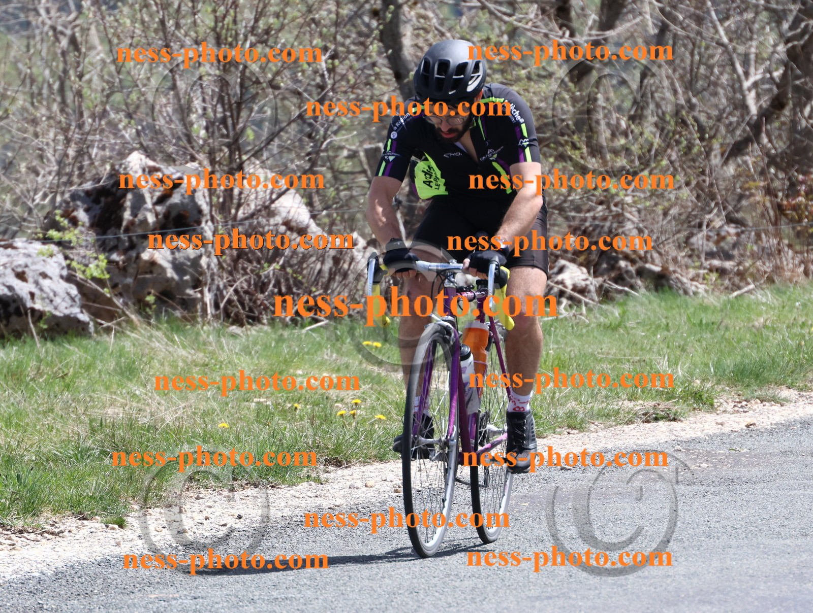 Col du Grand Colombier (856).JPG