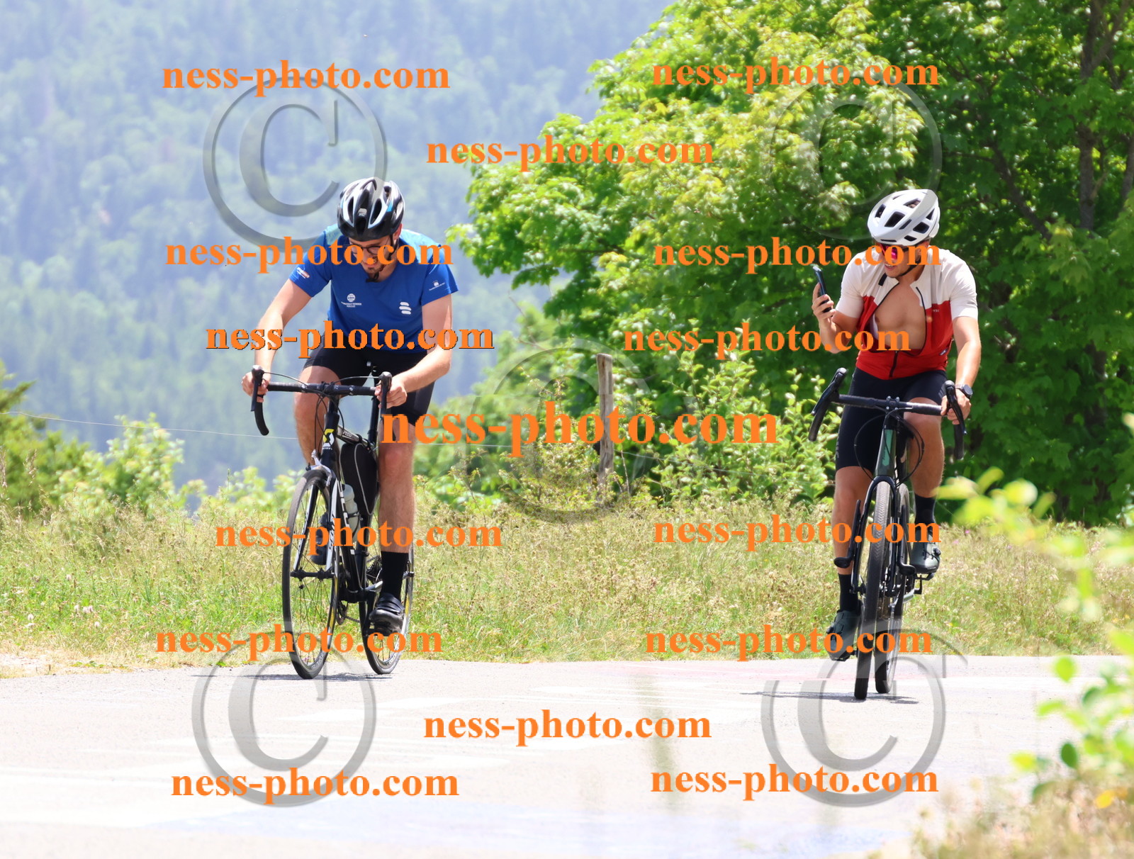 Col du grand Colombier (3098).JPG