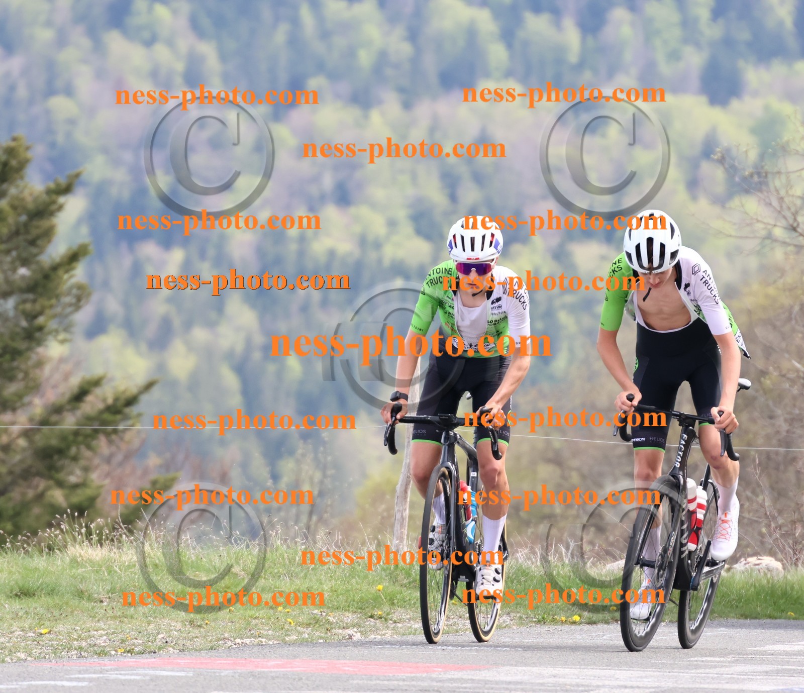Col du Grand Colombier (1076).JPG