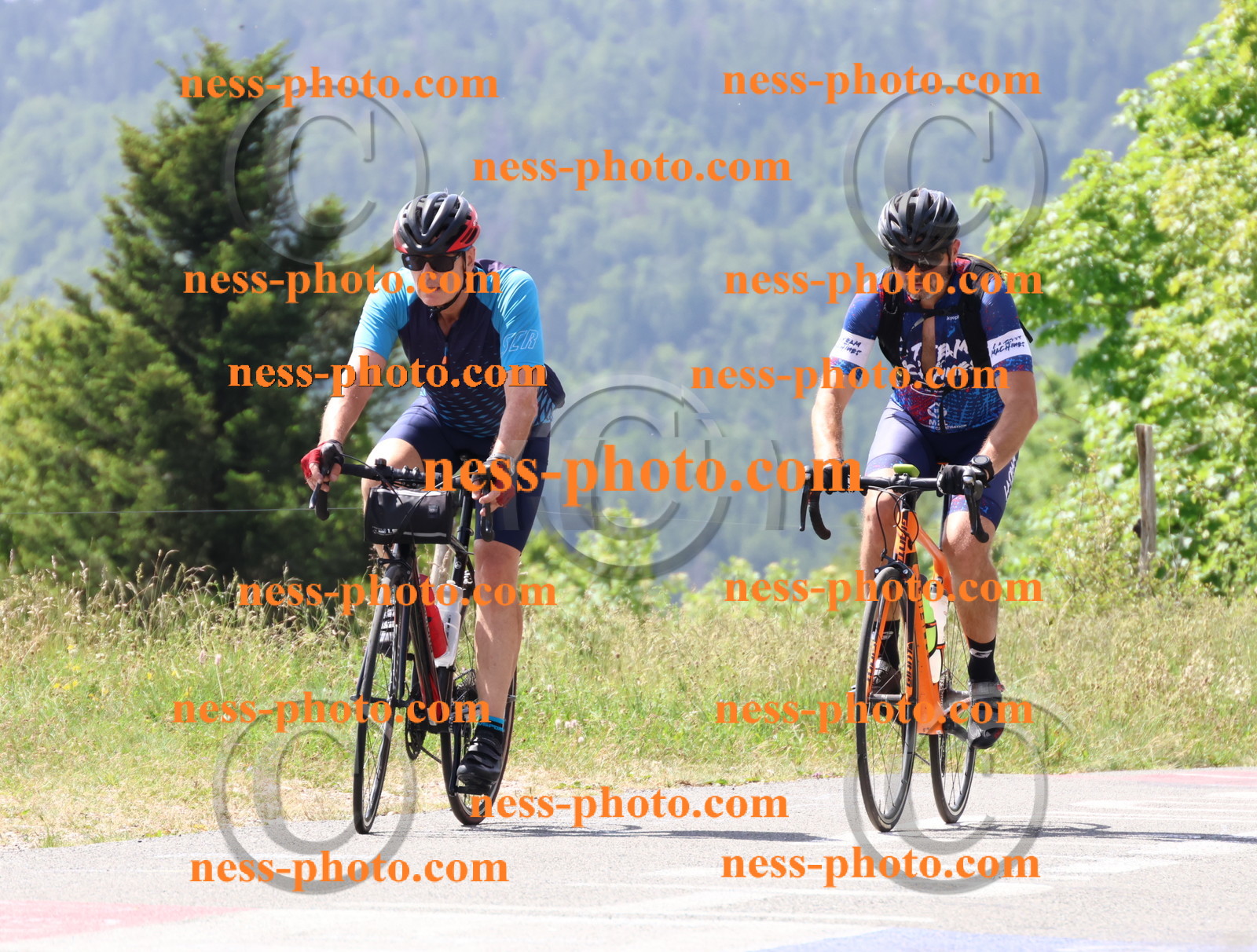 Col du grand Colombier (1656).JPG