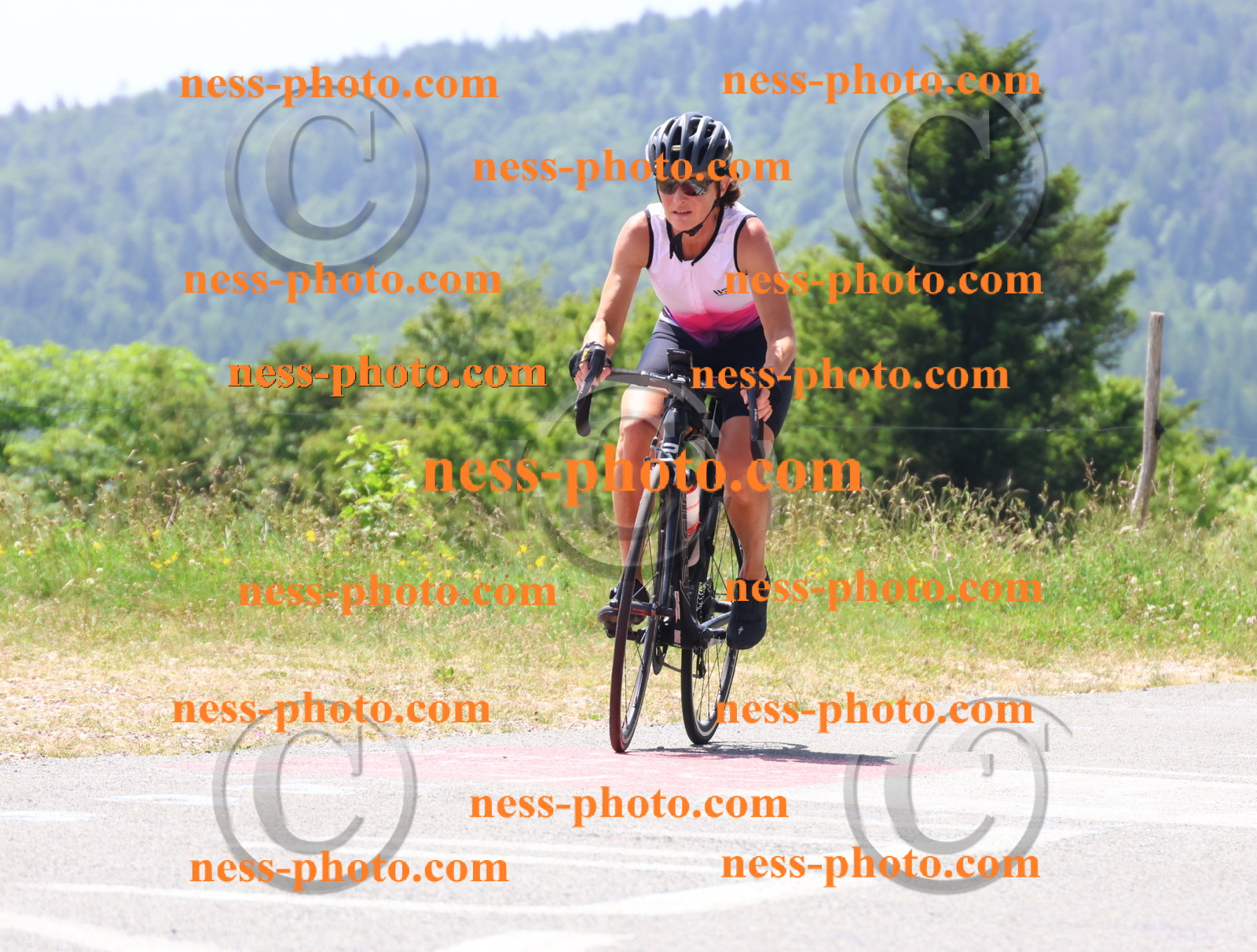 Col du grand Colombier (2513).JPG