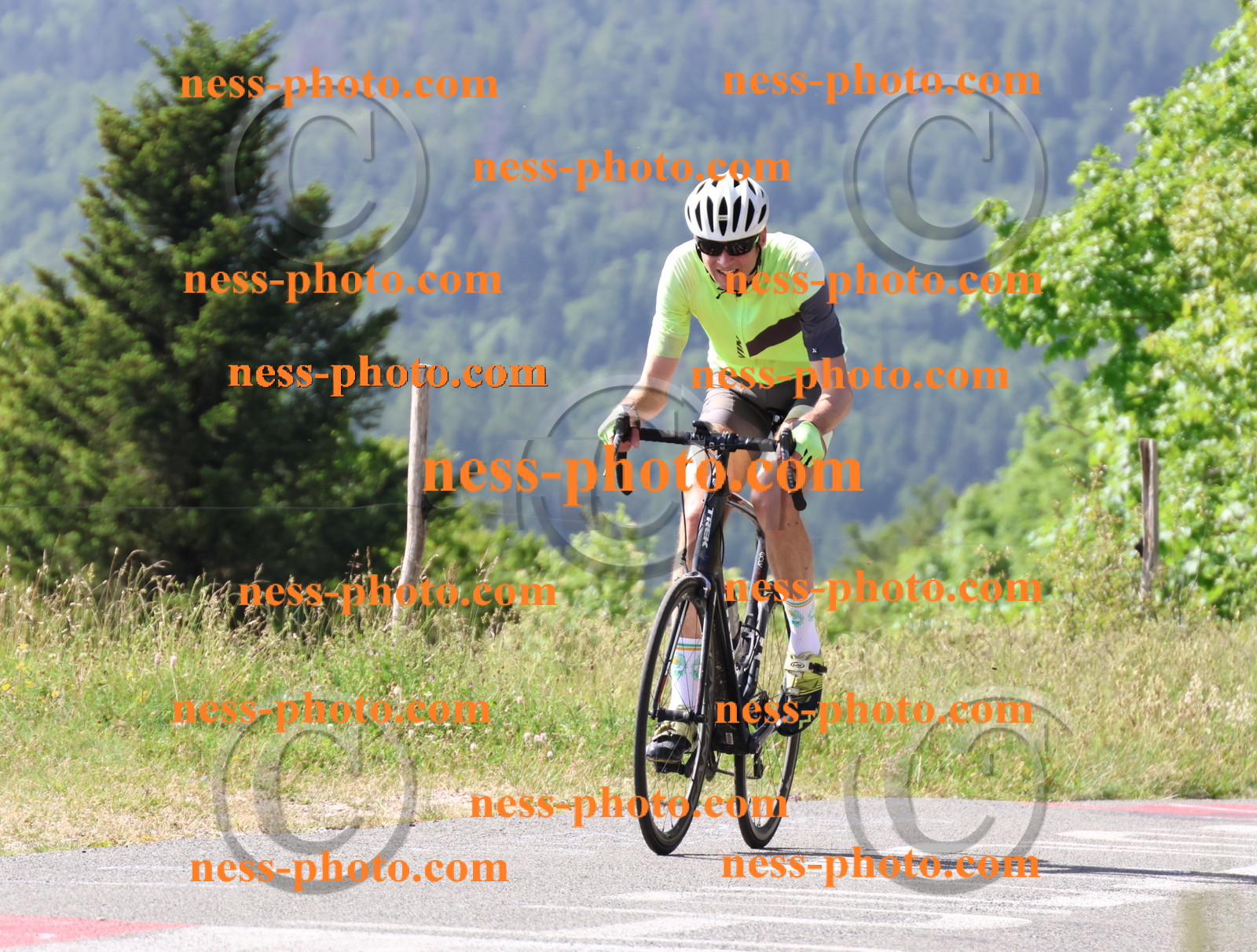 Col du grand Colombier (509).JPG