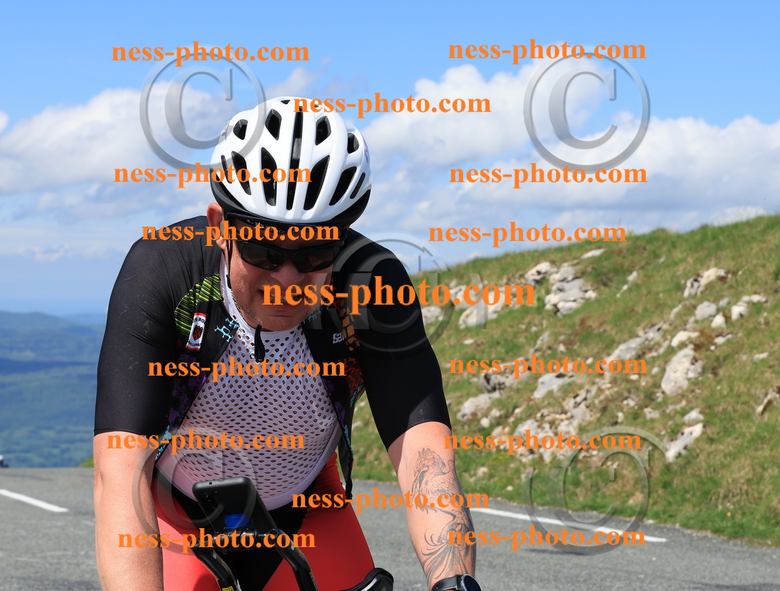 Col du Grand Colombier (2014).JPG