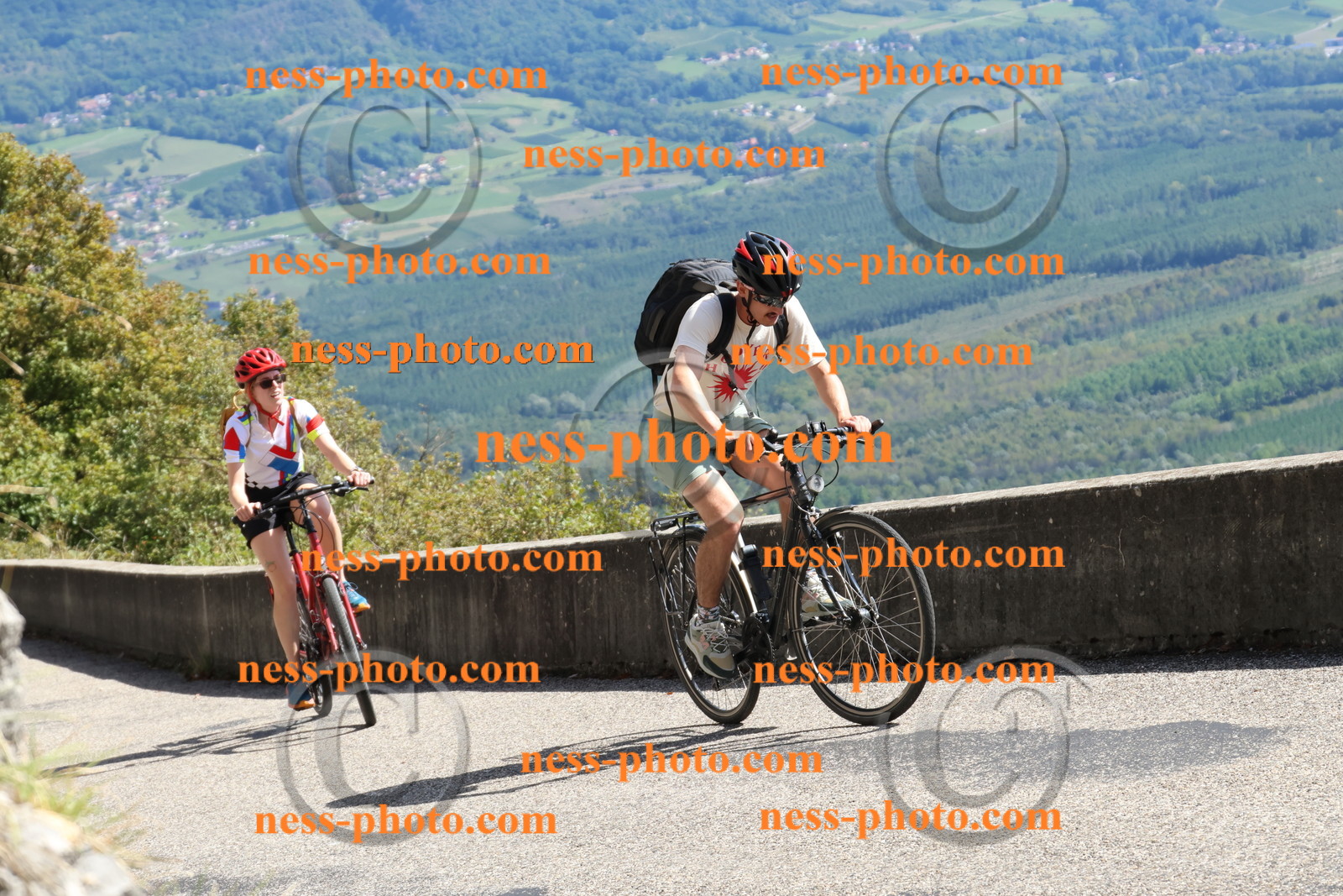 Col du Grand Colombier (735).JPG