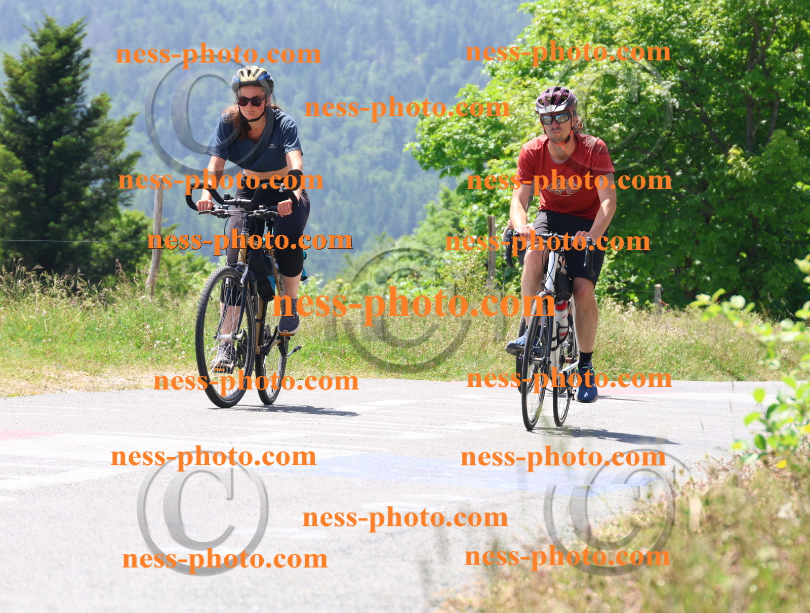 Col du grand Colombier (2619).JPG