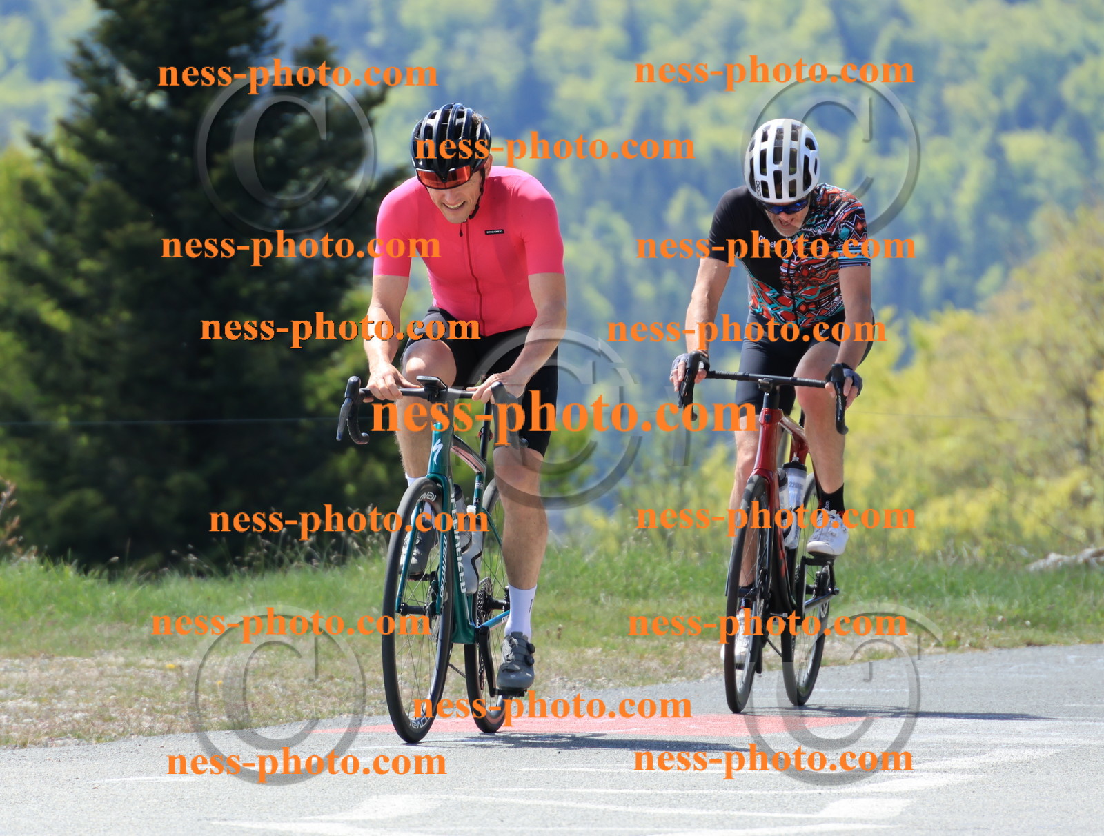 Col du Grand Colombier (78).JPG