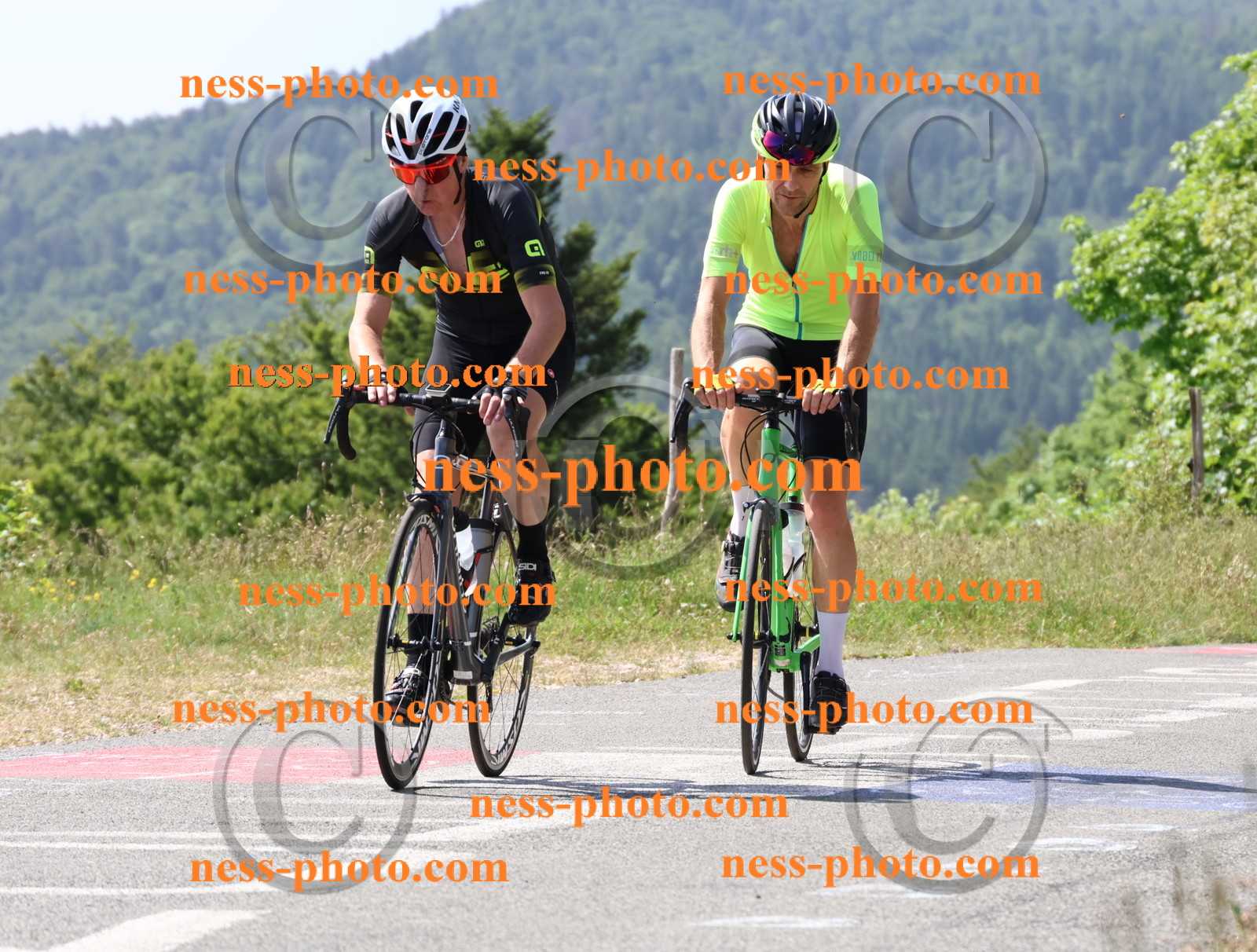 Col du grand Colombier (1386).JPG