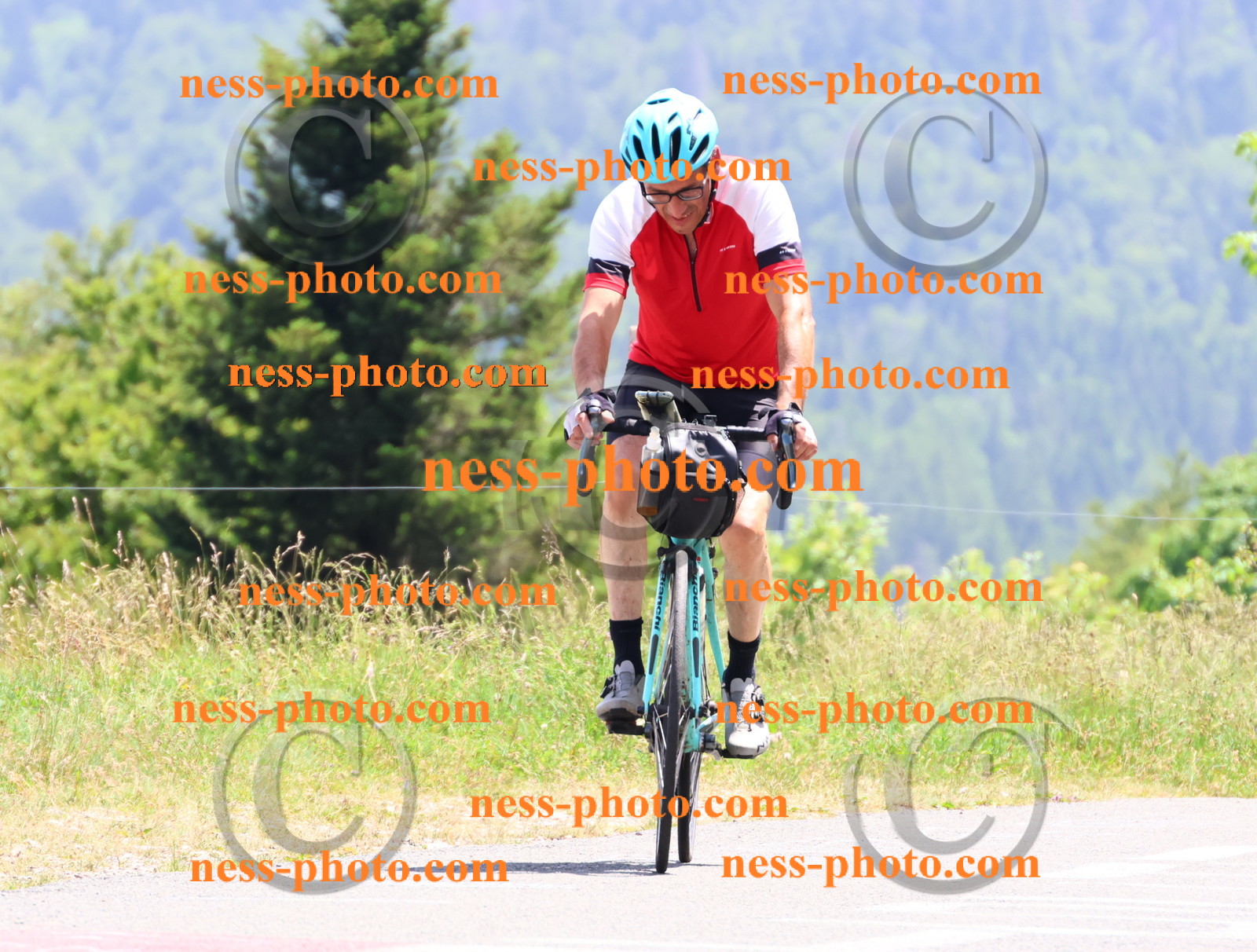 Col du grand Colombier (3176).JPG