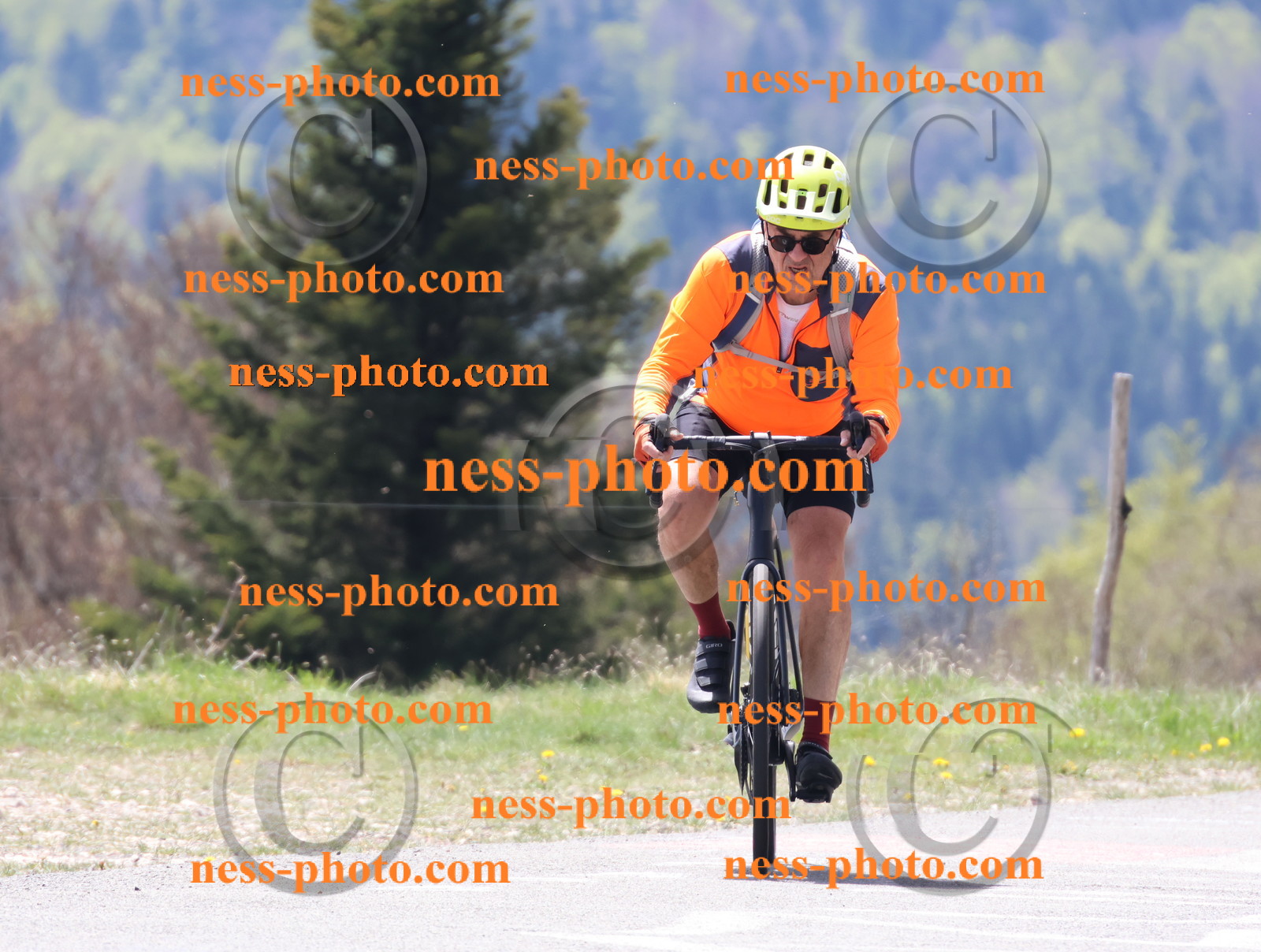 Col du Grand Colombier (158).JPG