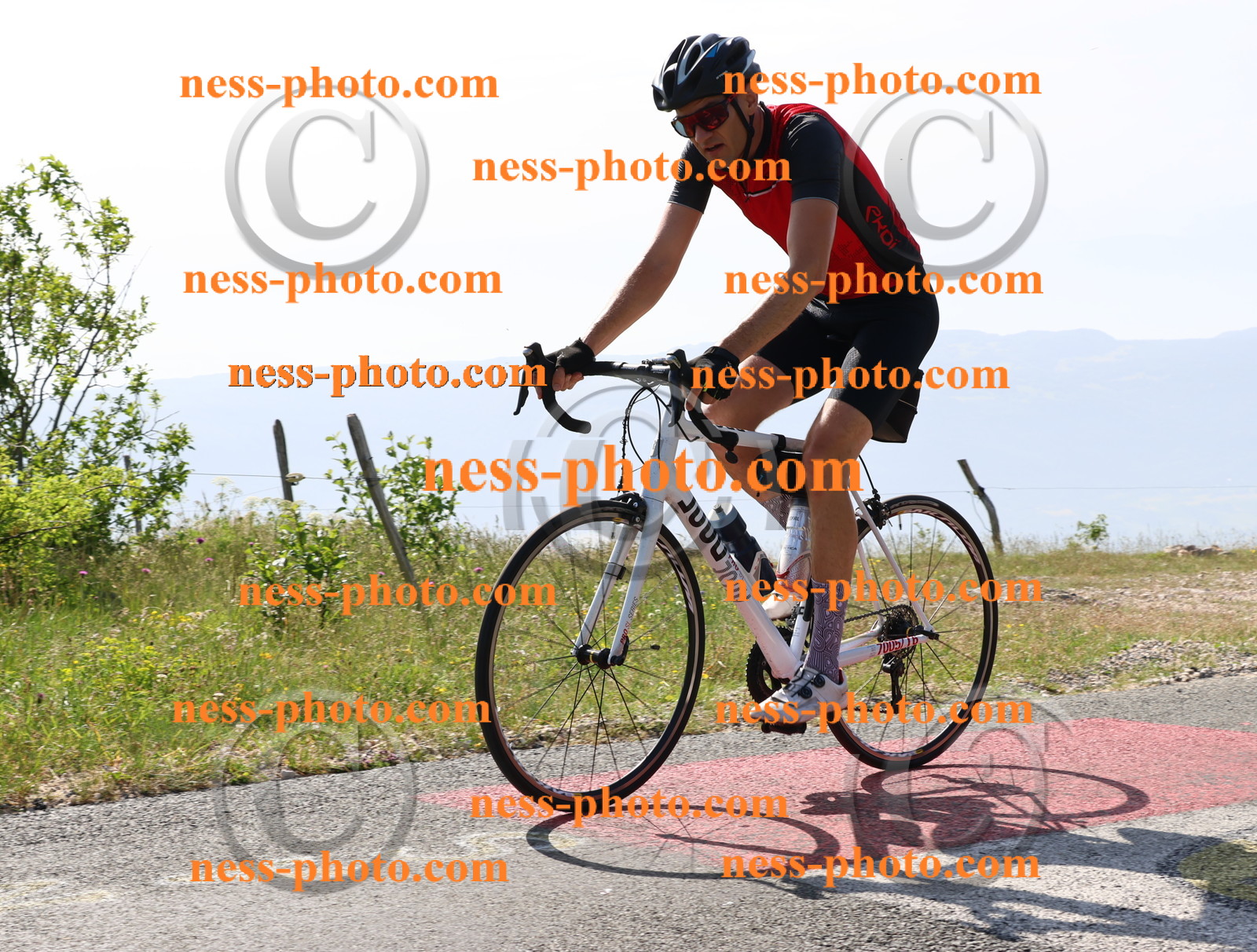 Col du grand Colombier (281).JPG