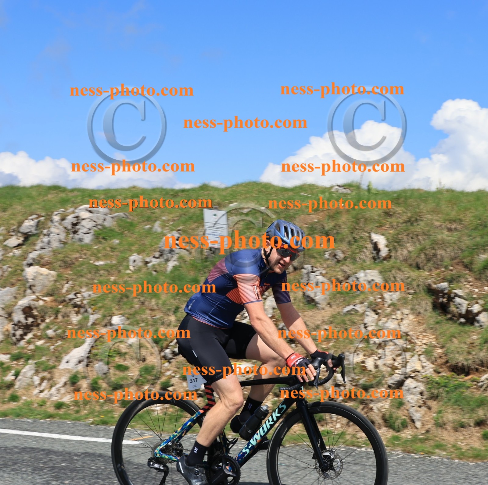 Col du Grand Colombier (1406).JPG