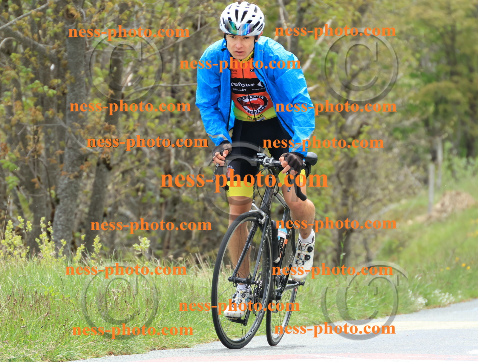 Col du Grand Colombier (487).JPG