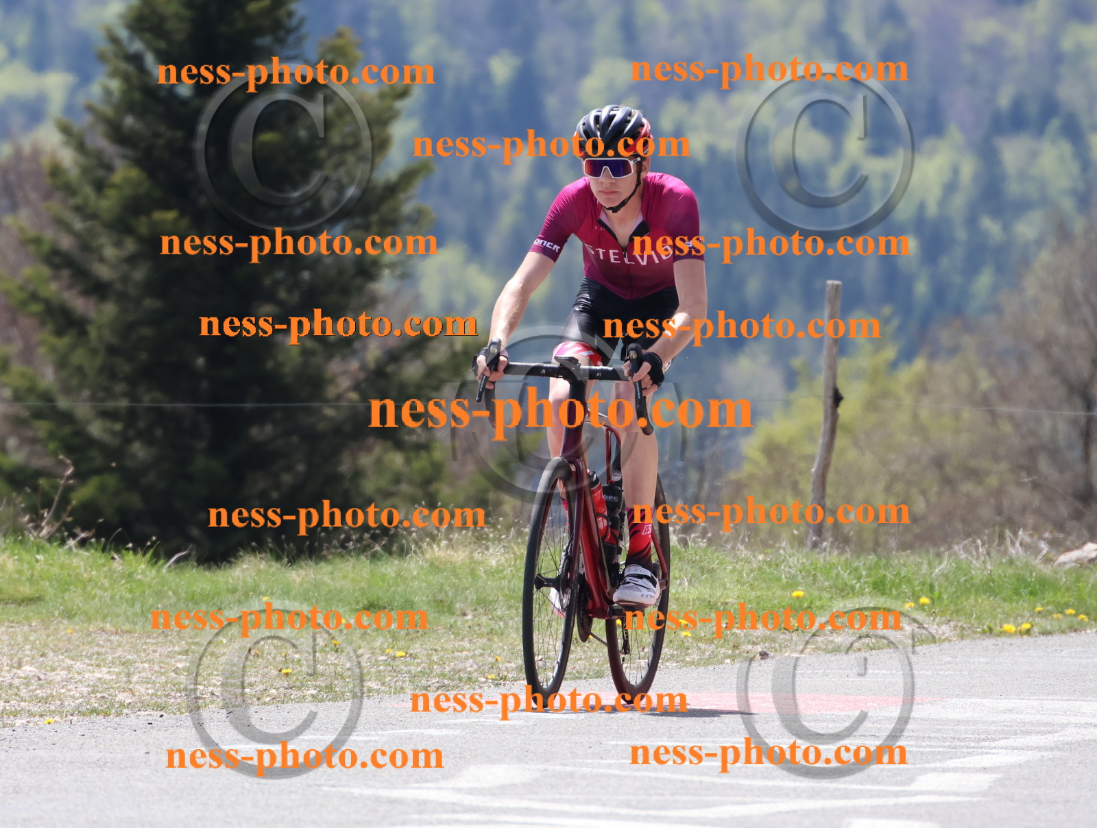 Col du Grand Colombier (266).JPG