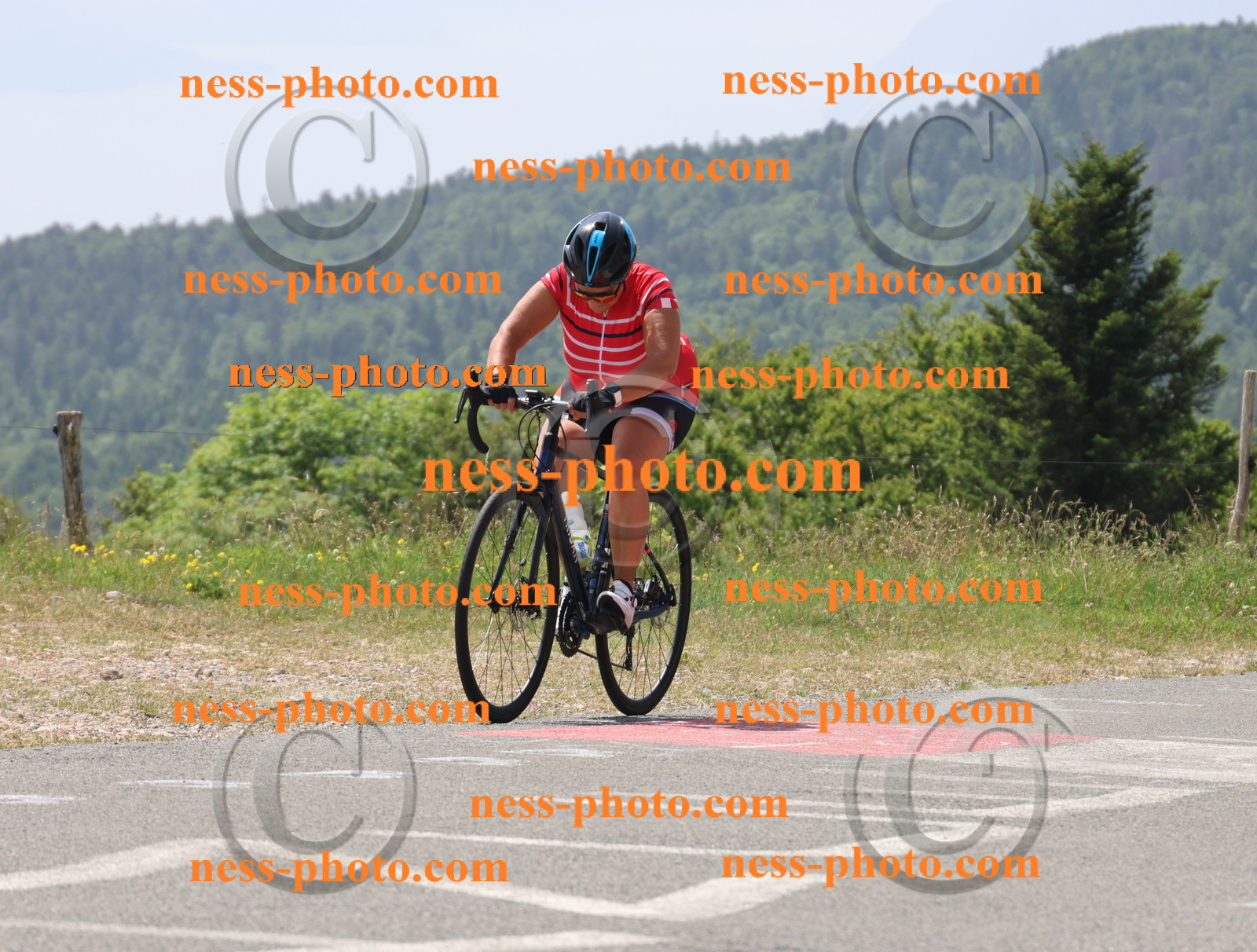 Col du grand Colombier (2159).JPG