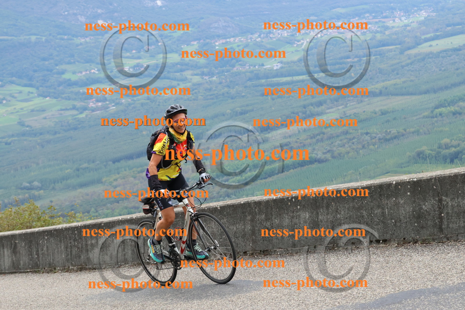 Col du Grand Colombier (2044).JPG