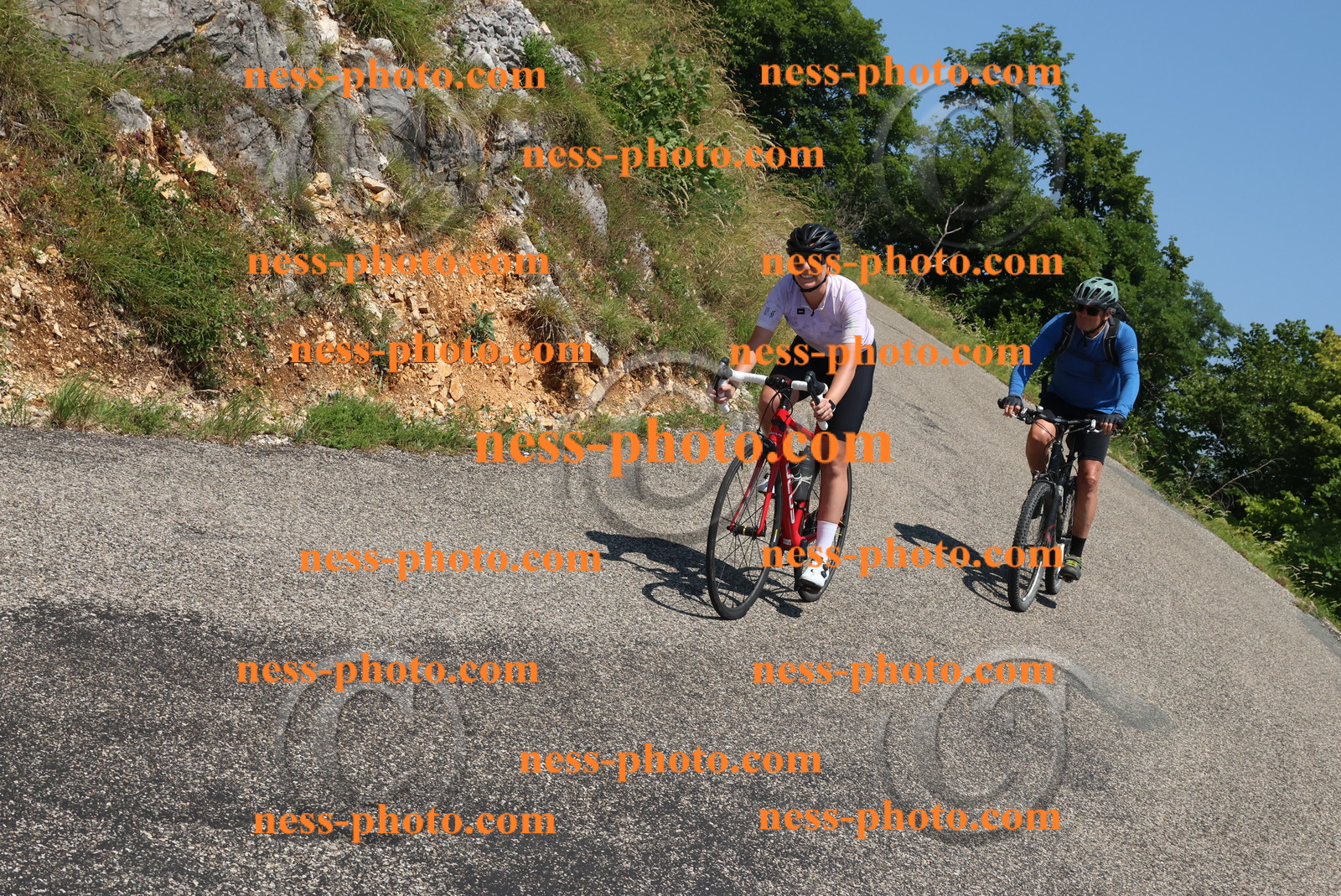 Col du Grand Colombier (497).JPG