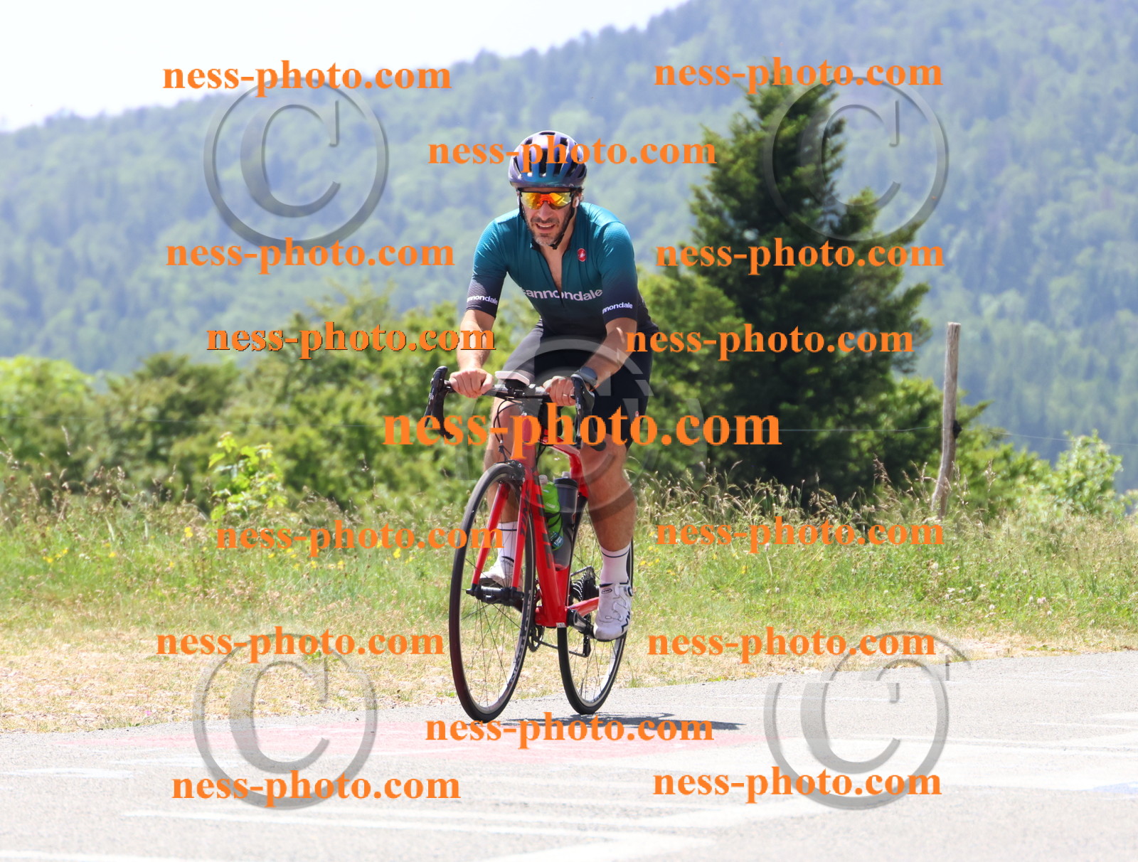 Col du grand Colombier (2602).JPG