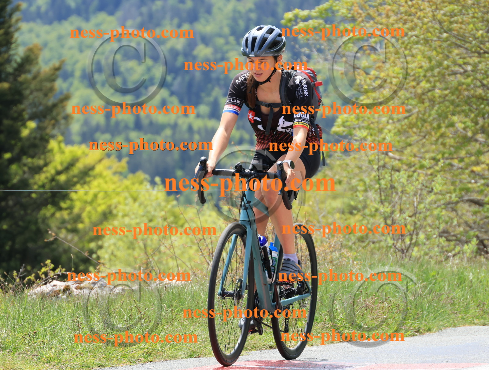 Col du Grand Colombier (337).JPG