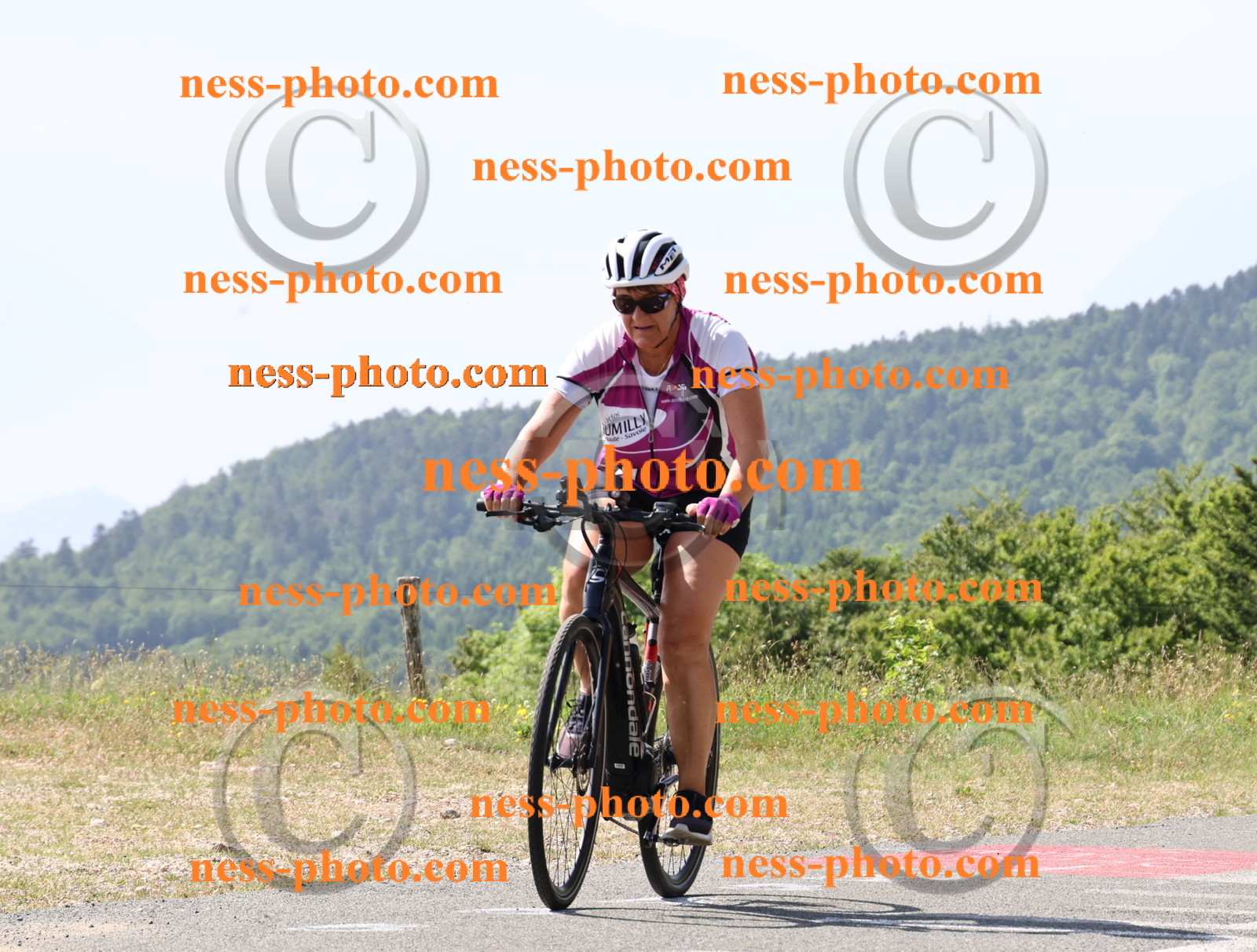 Col du grand Colombier (774).JPG