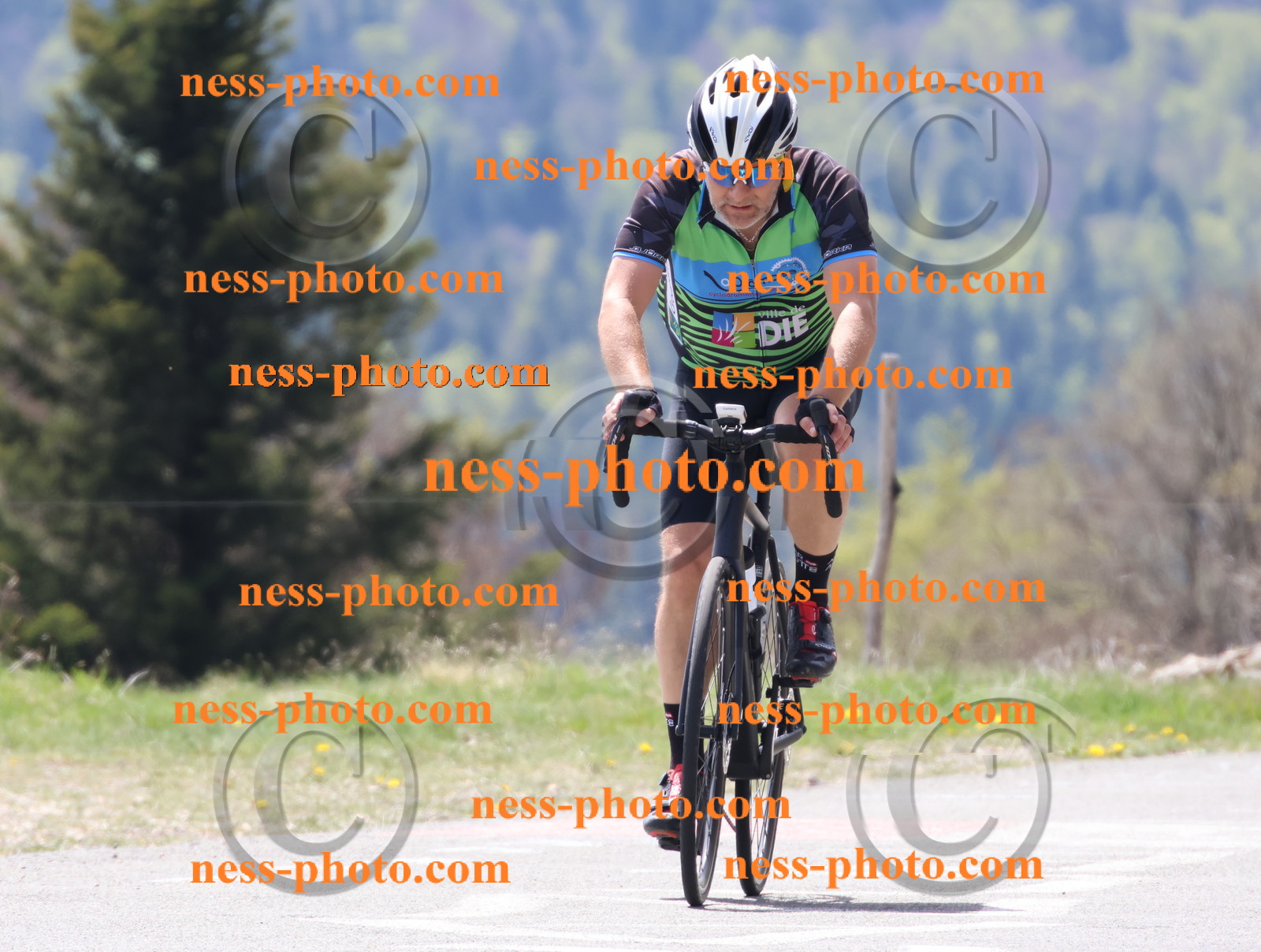 Col du Grand Colombier (169).JPG