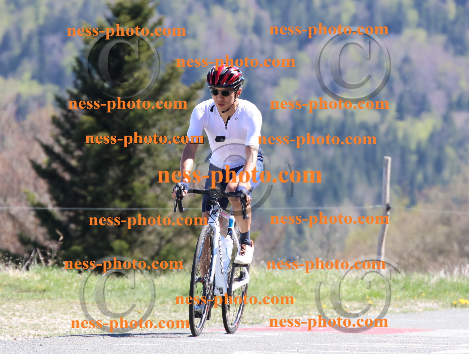 Col du Grand Colombier (1058).JPG