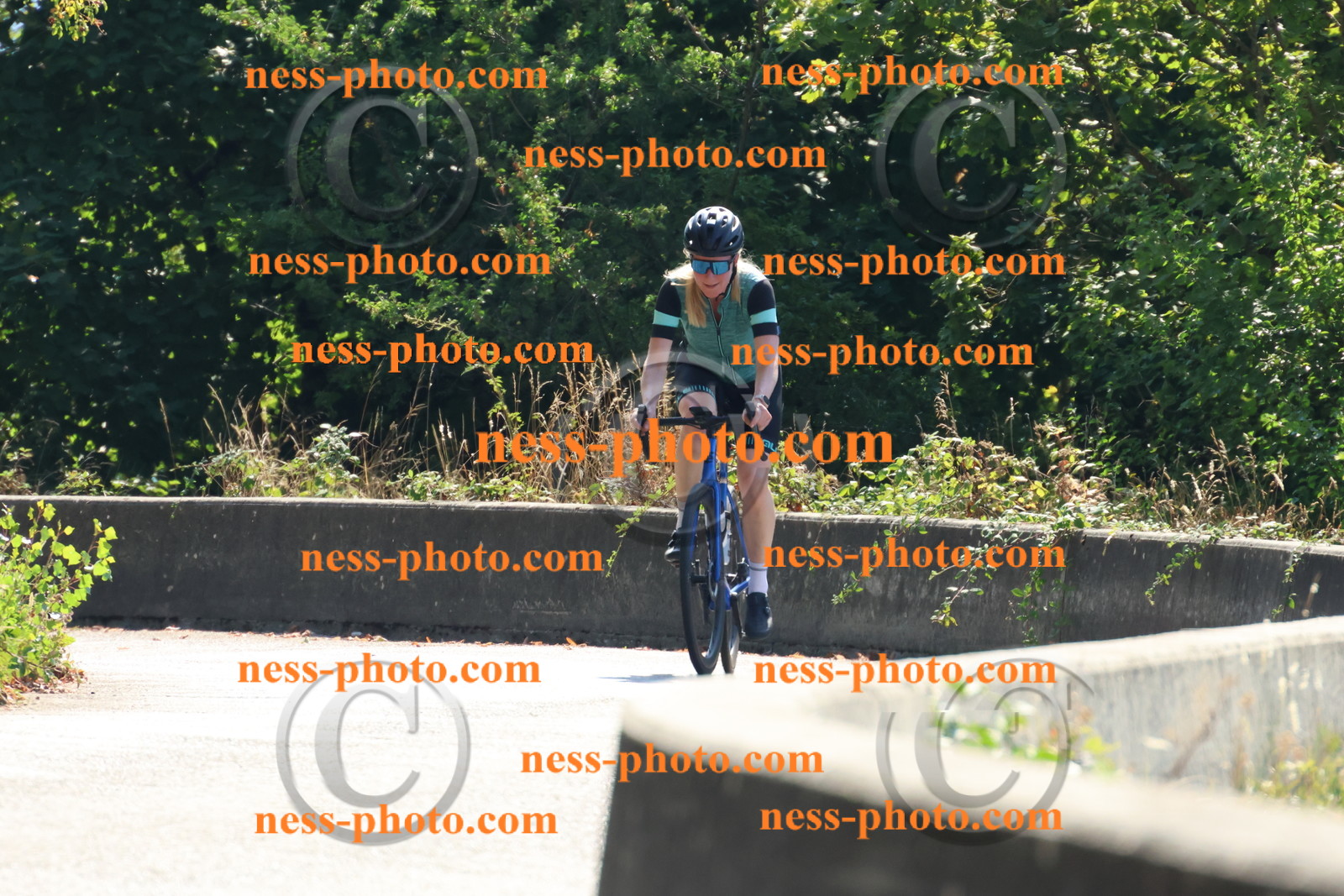 Col du Grand Colombier (146).JPG