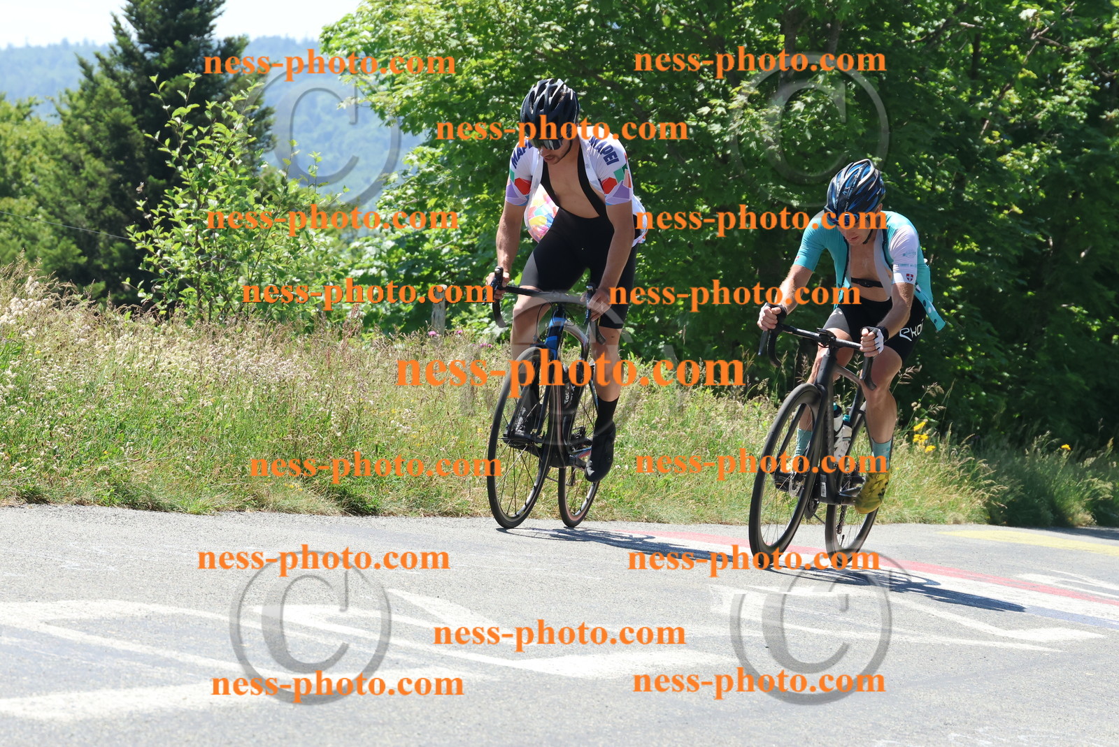 Col du Grand Colombier (50).JPG