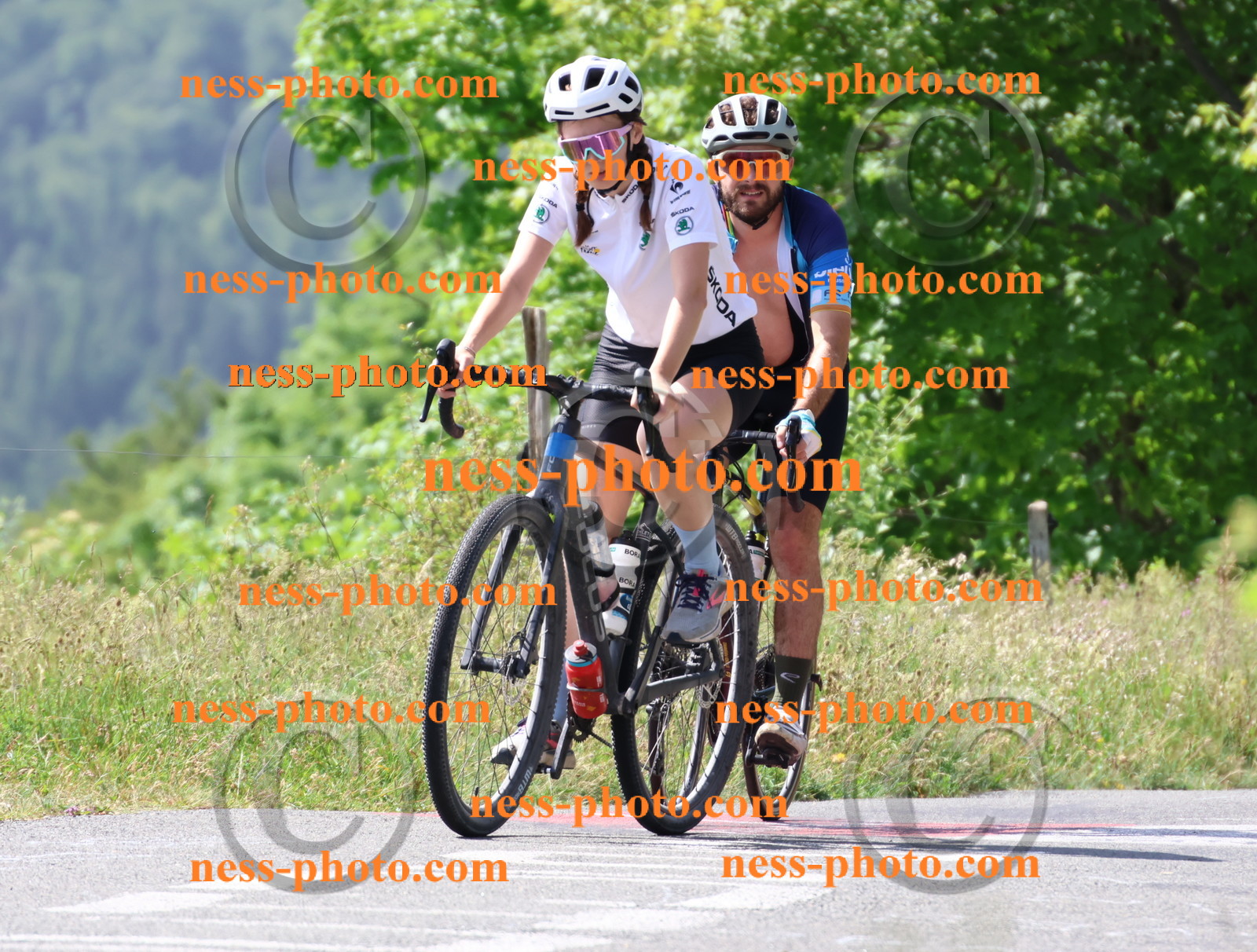 Col du grand Colombier (1116).JPG