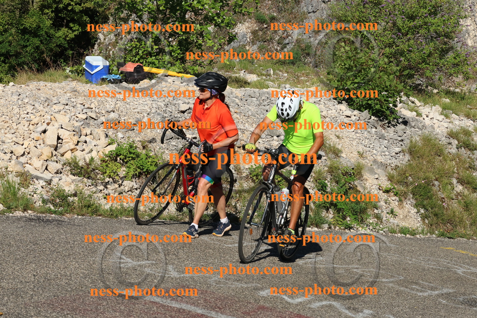 Col du Grand Colombier (165).JPG