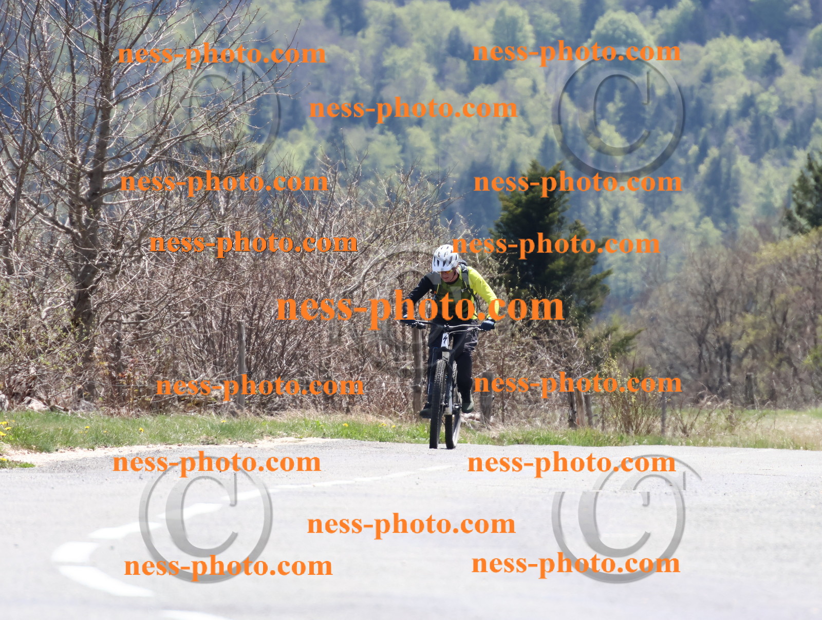 Col du Grand Colombier (739).JPG