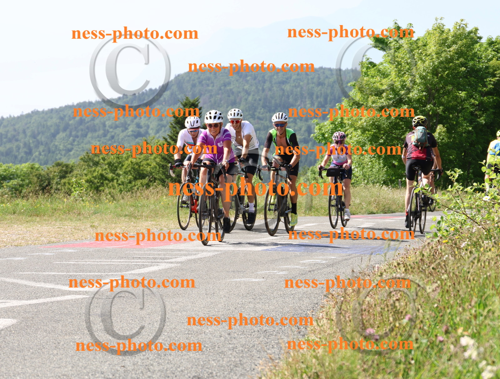 Col du grand Colombier (608).JPG