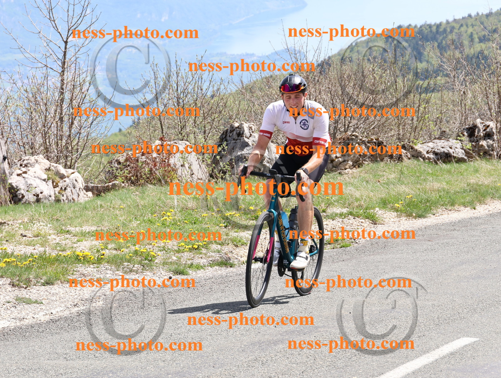 Col du Grand Colombier (844).JPG