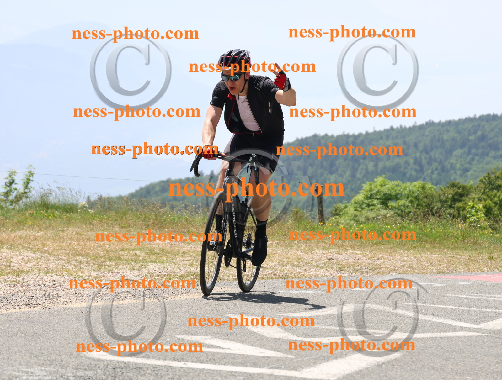 Col du grand Colombier (2611).JPG