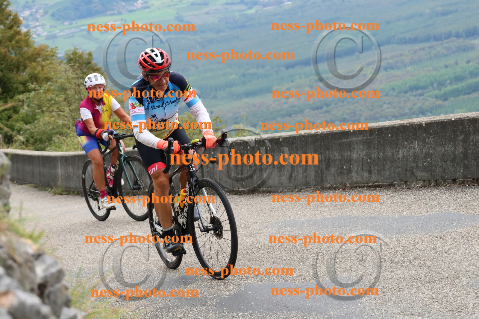 Col du Grand Colombier (447).JPG