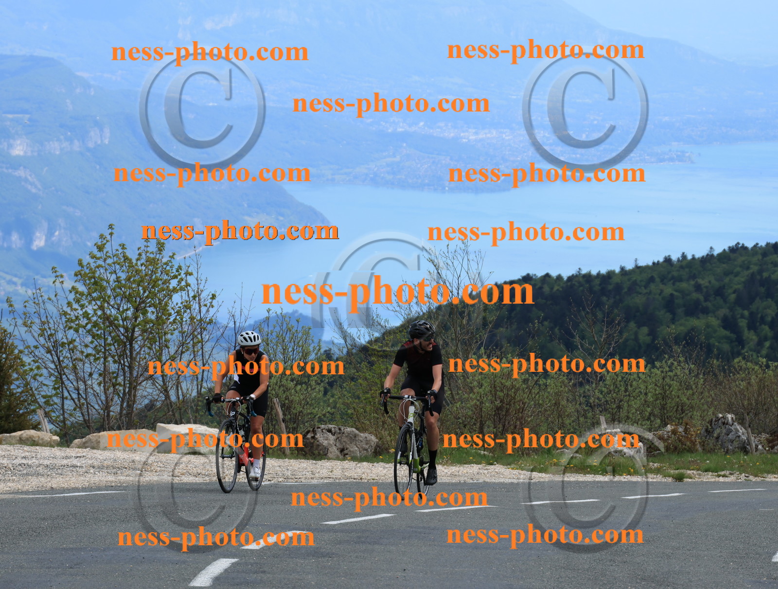 Col du grand Colombier (700).JPG