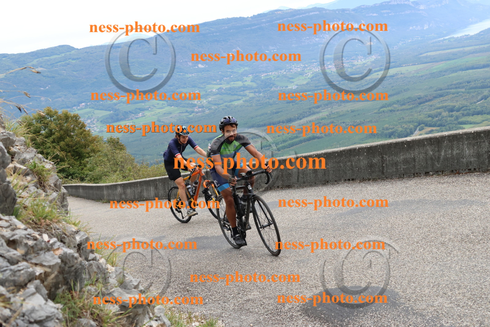 Col du Grand Colombier (2541).JPG