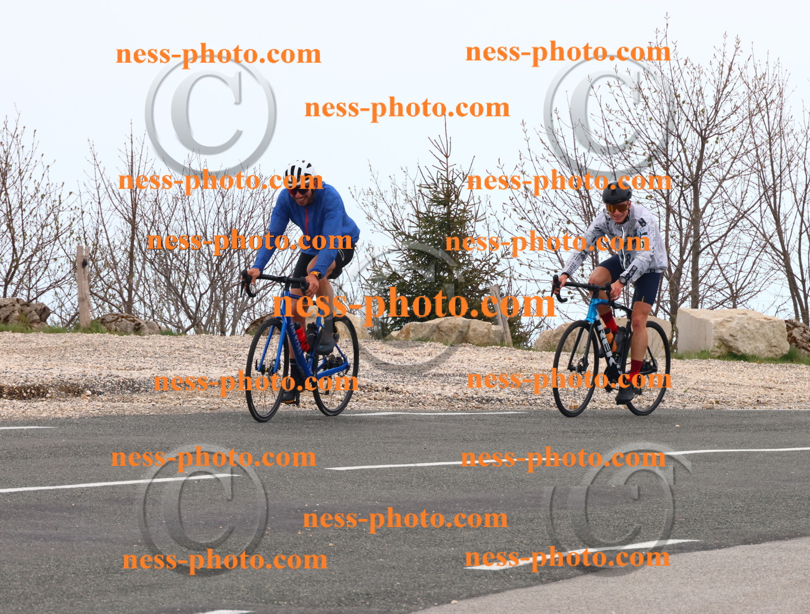 Col du Grand Colombier (68).JPG