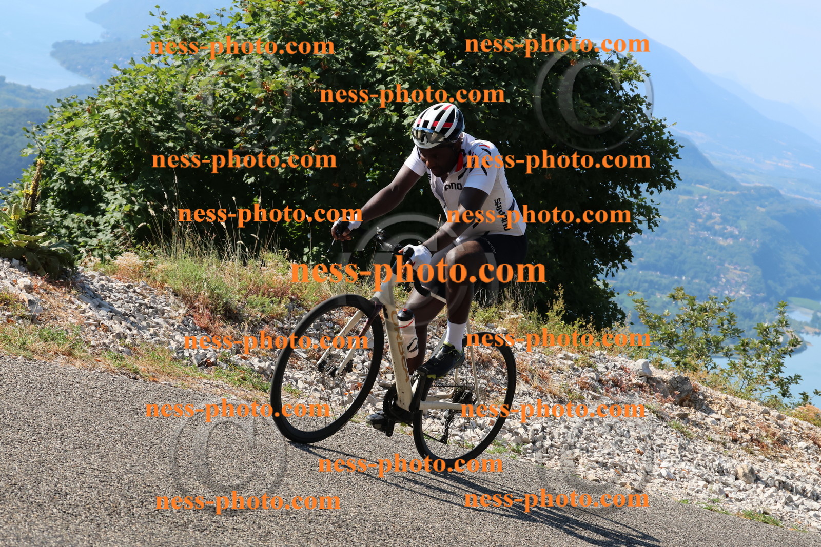 Col du Grand Colombier (88).JPG